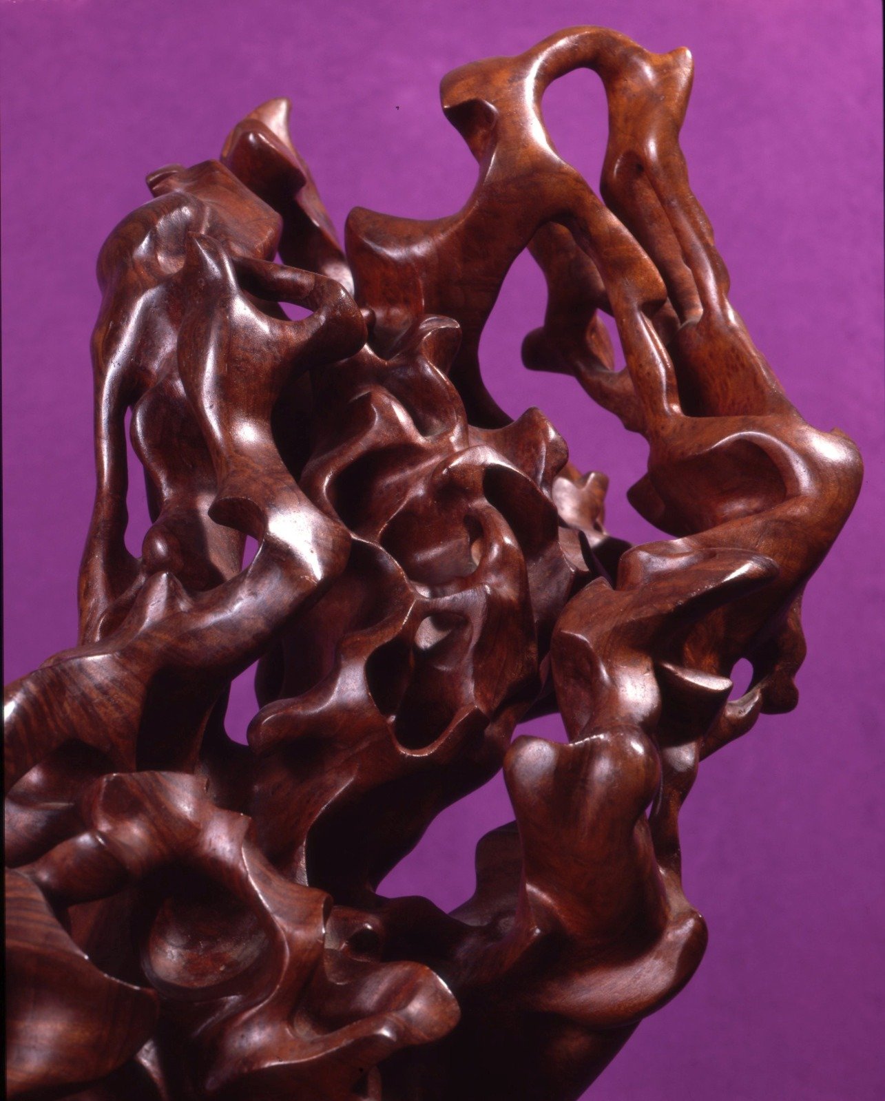 Robert Ortlieb, Martyr detail