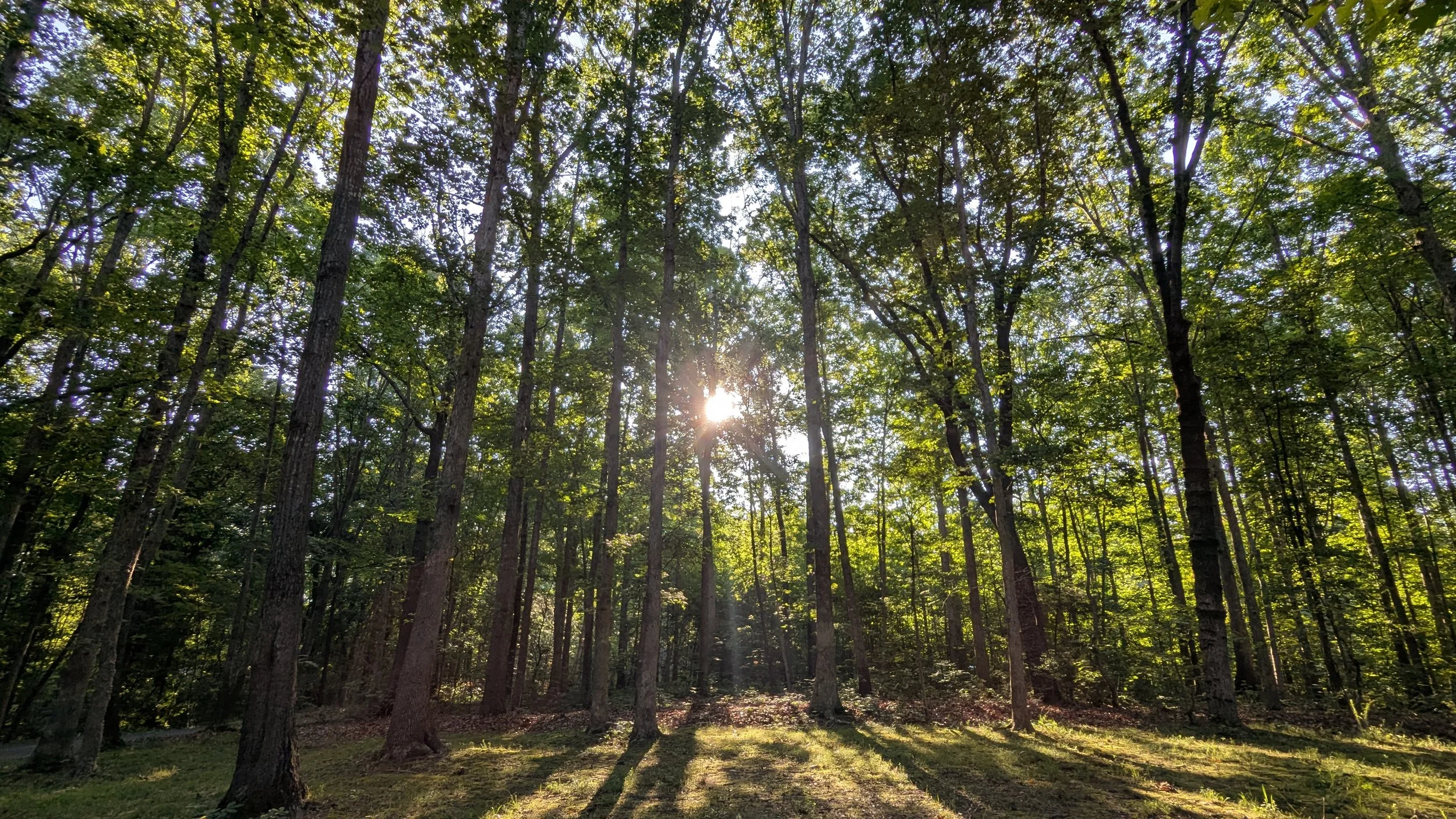 7 Months at CloverLock Lane: What We've Learned (The Good, Bad, and Expensive)