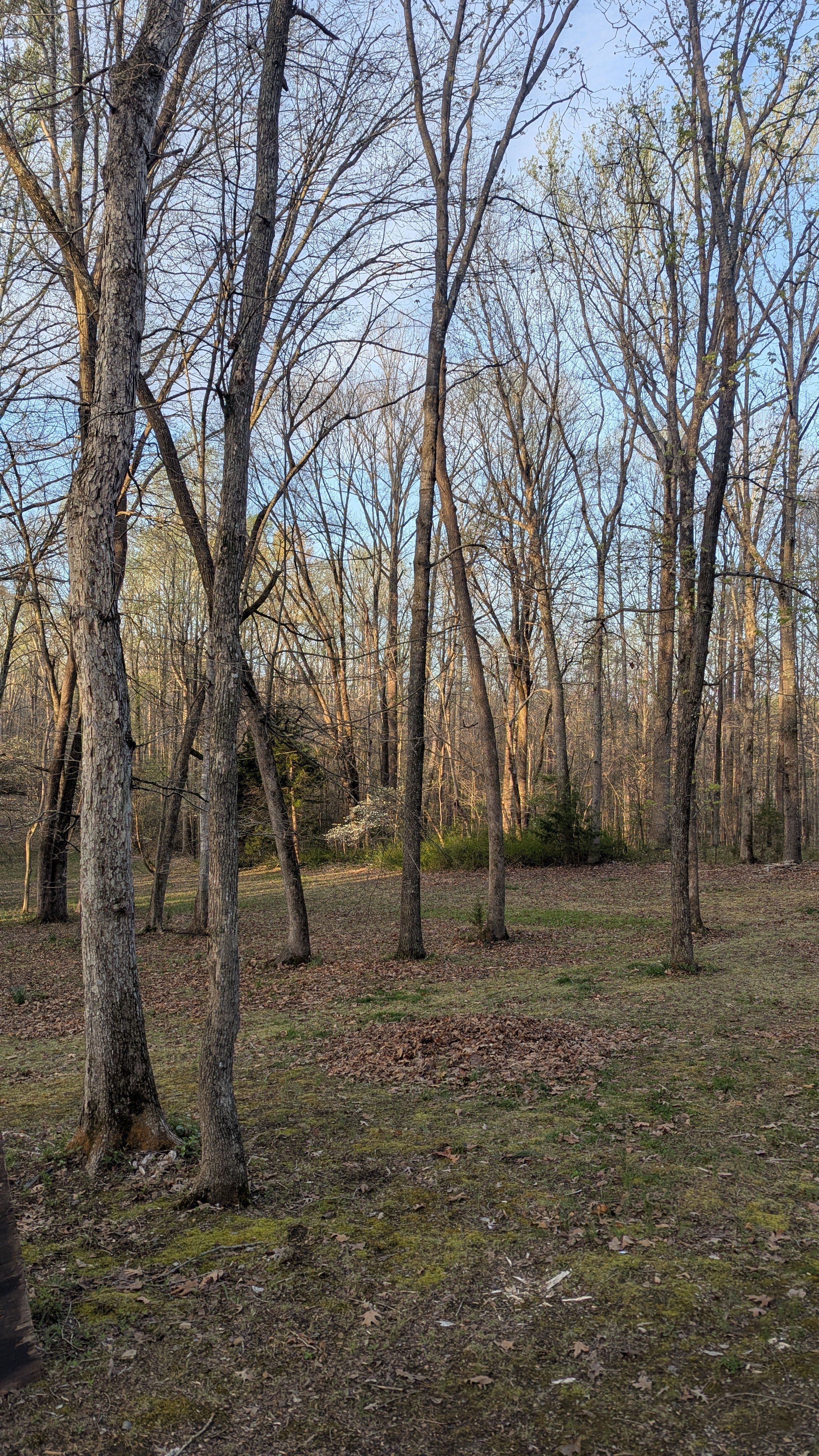 March at Cloverlock Lane | Month in Review