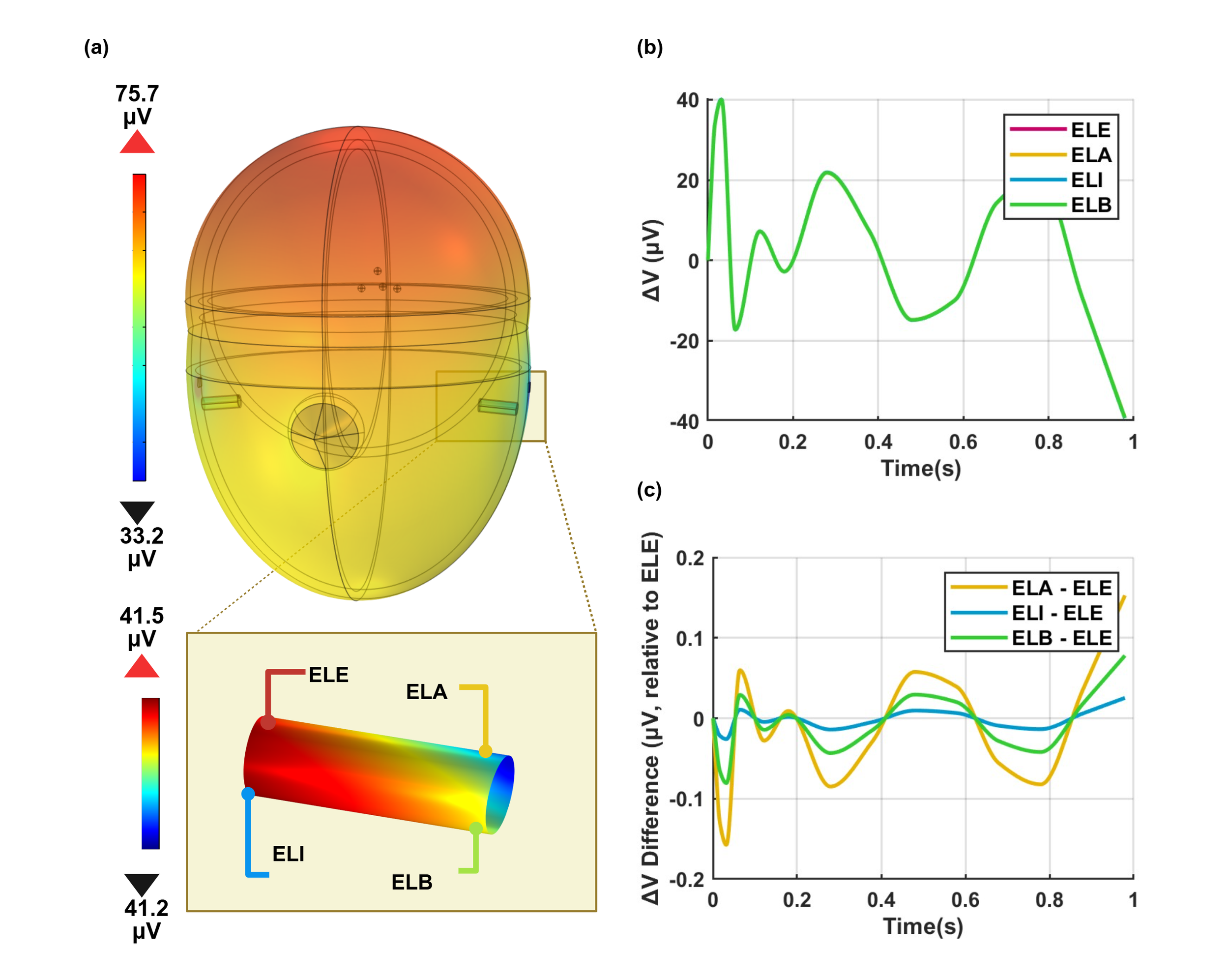 eeg-head.png