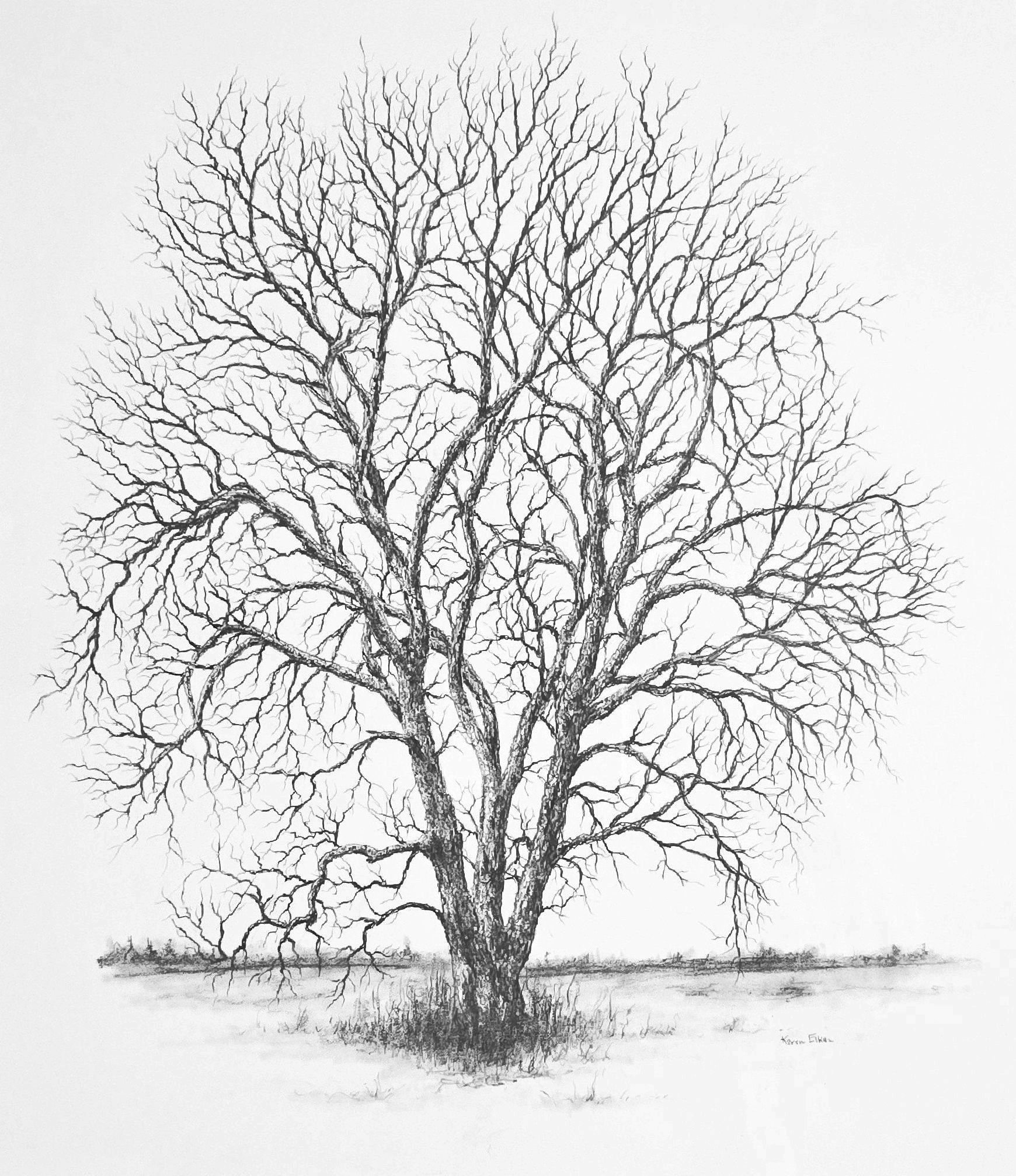 Stark Beauty: 22 x 03 inch framed & matted:  $475