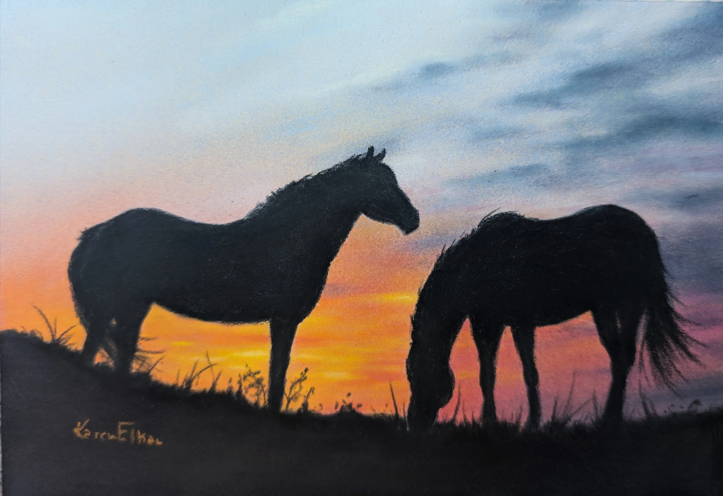Sunset Pair:  10 x 8 framed and matted.
$300