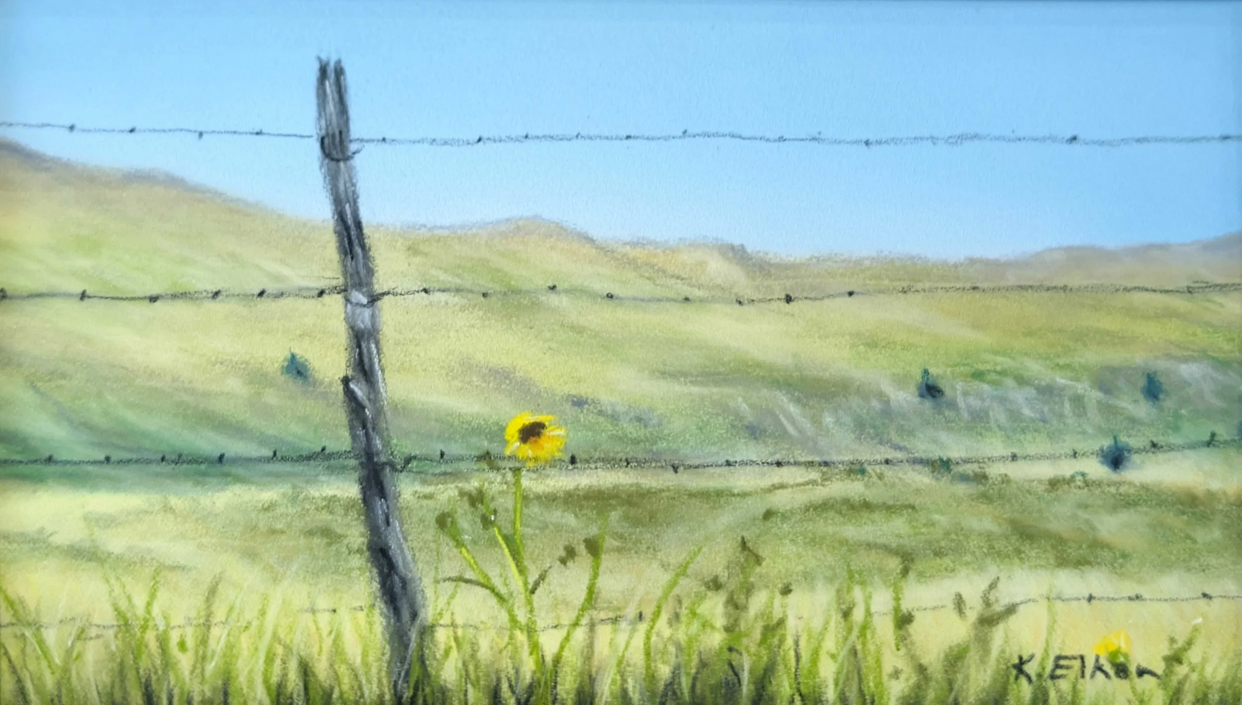 Forlorn:  7 x 5 inch framed and matted.
$175