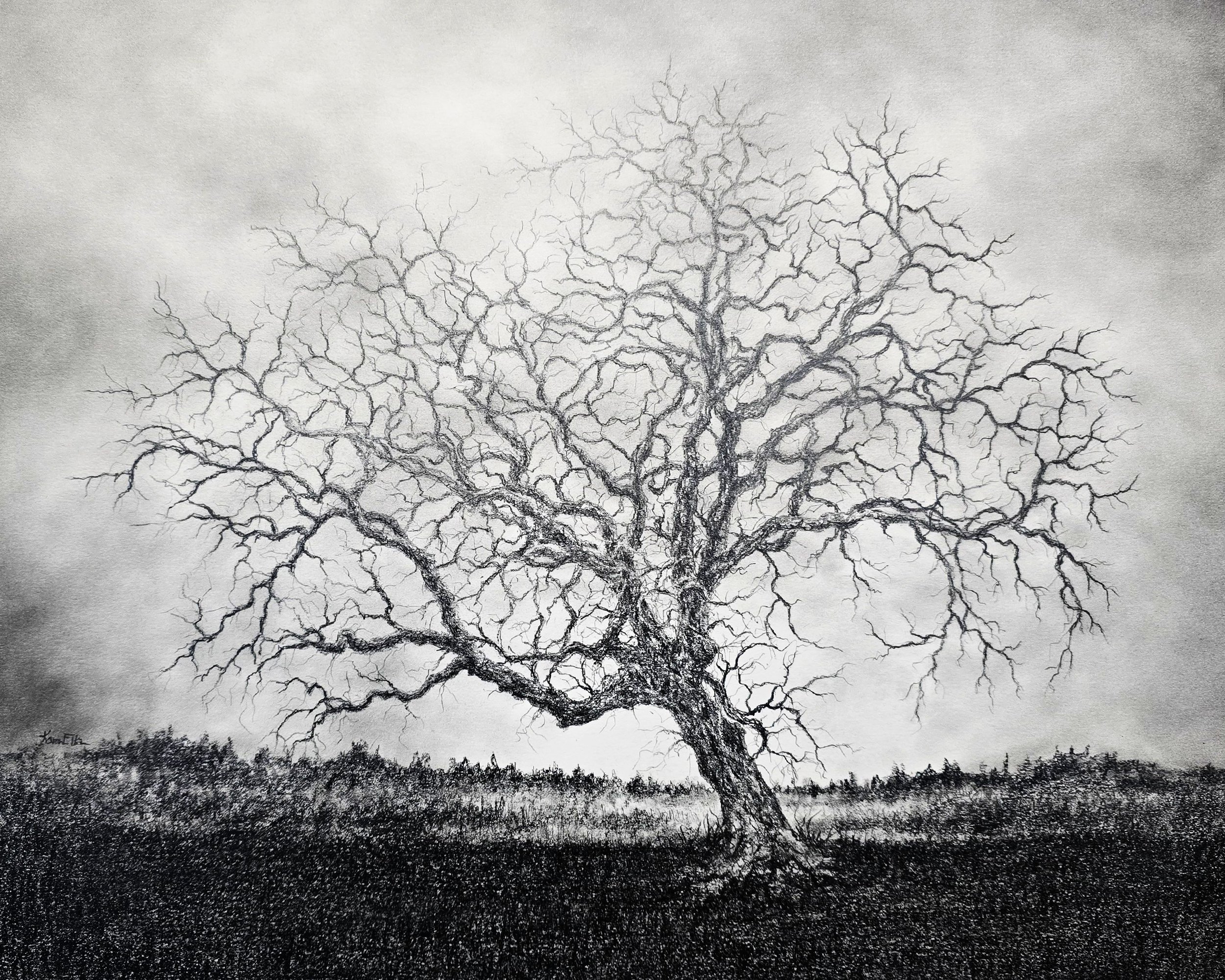 Windswept: 20 x 22 inch framed & matted:  $475