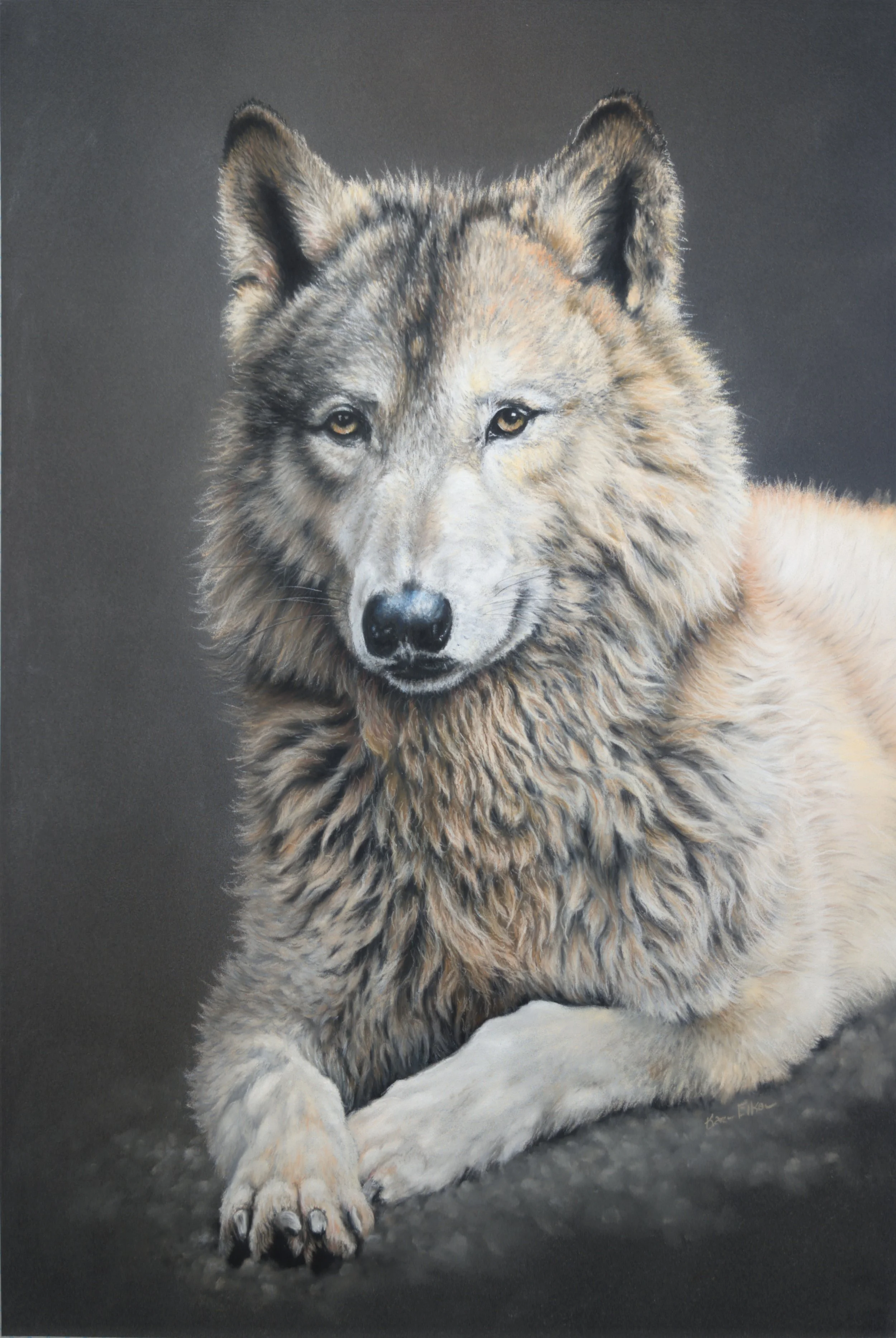 Regal:  22 x 28 inch framed and matted.
$1500