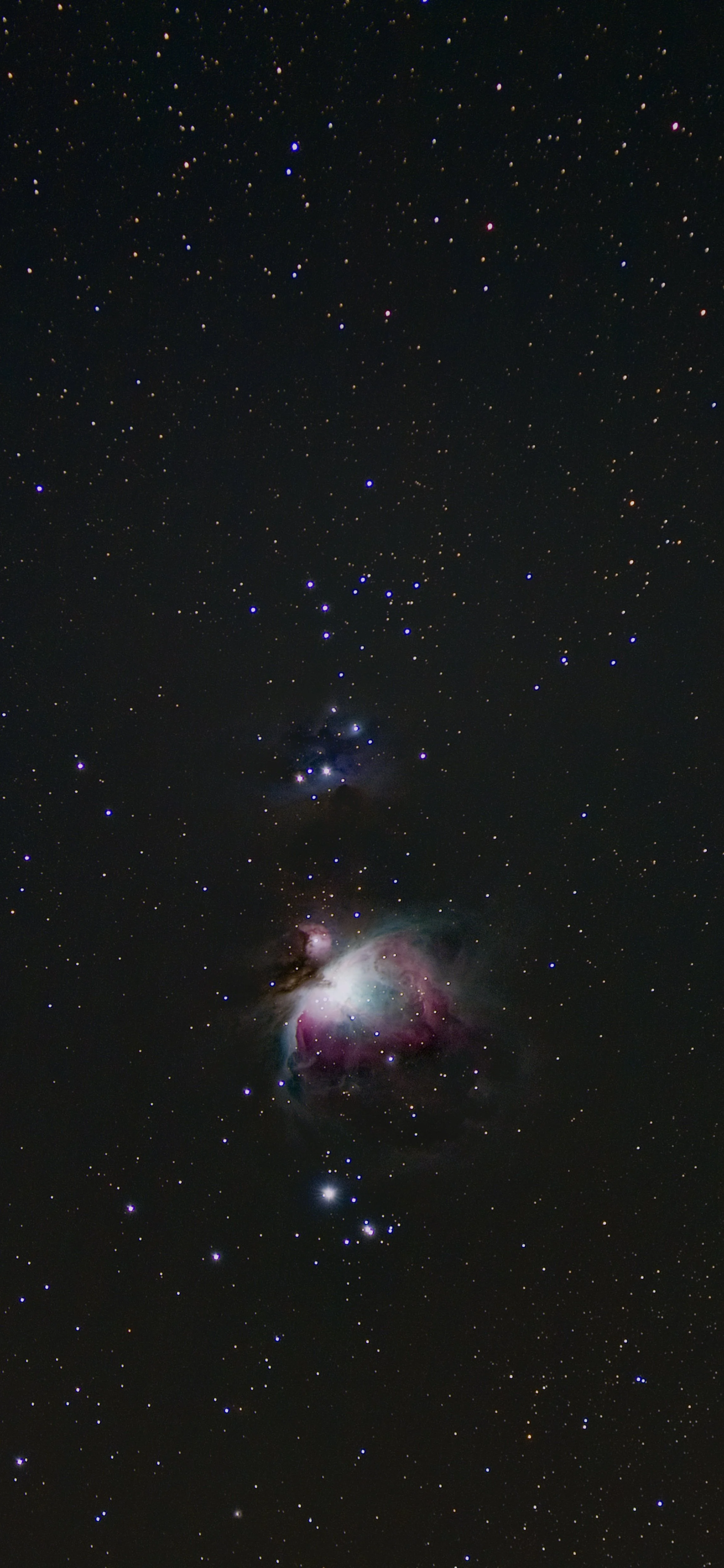 0203.23 - Orion Final-1.jpg