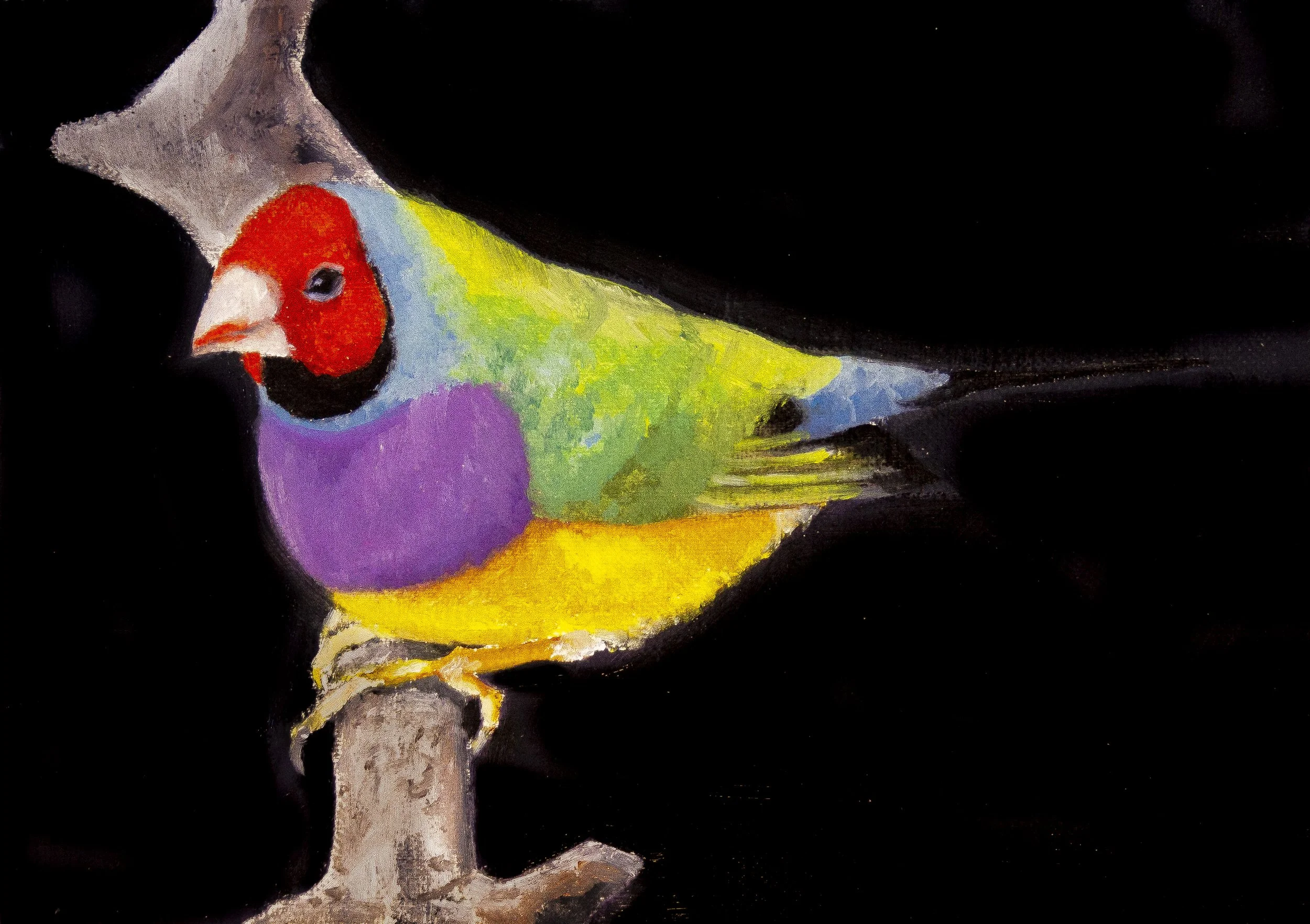 "Study of a Finch", 2023, 7"x5", Oil on Linen Panel, 2023