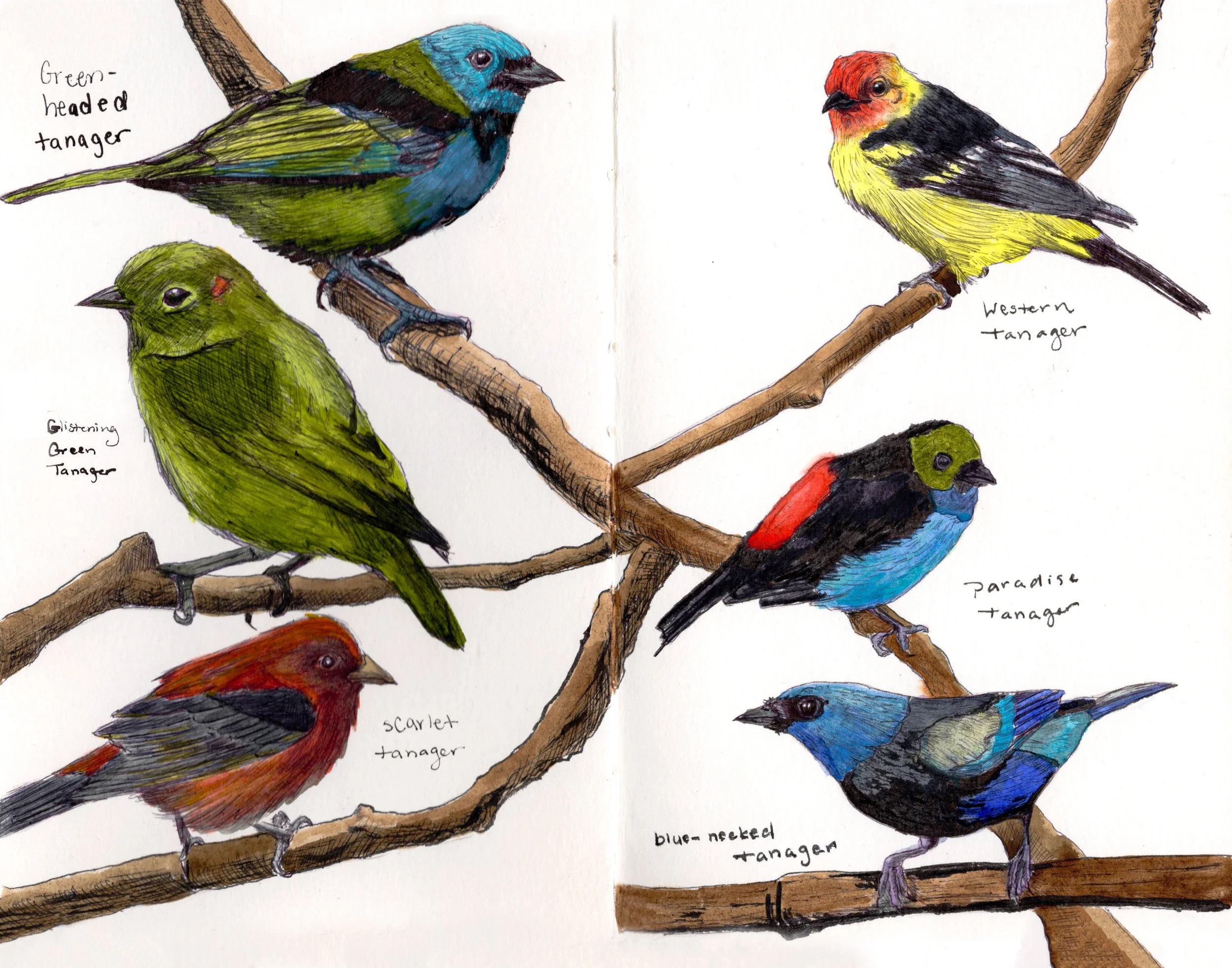 Sketchbook #6.jpg
