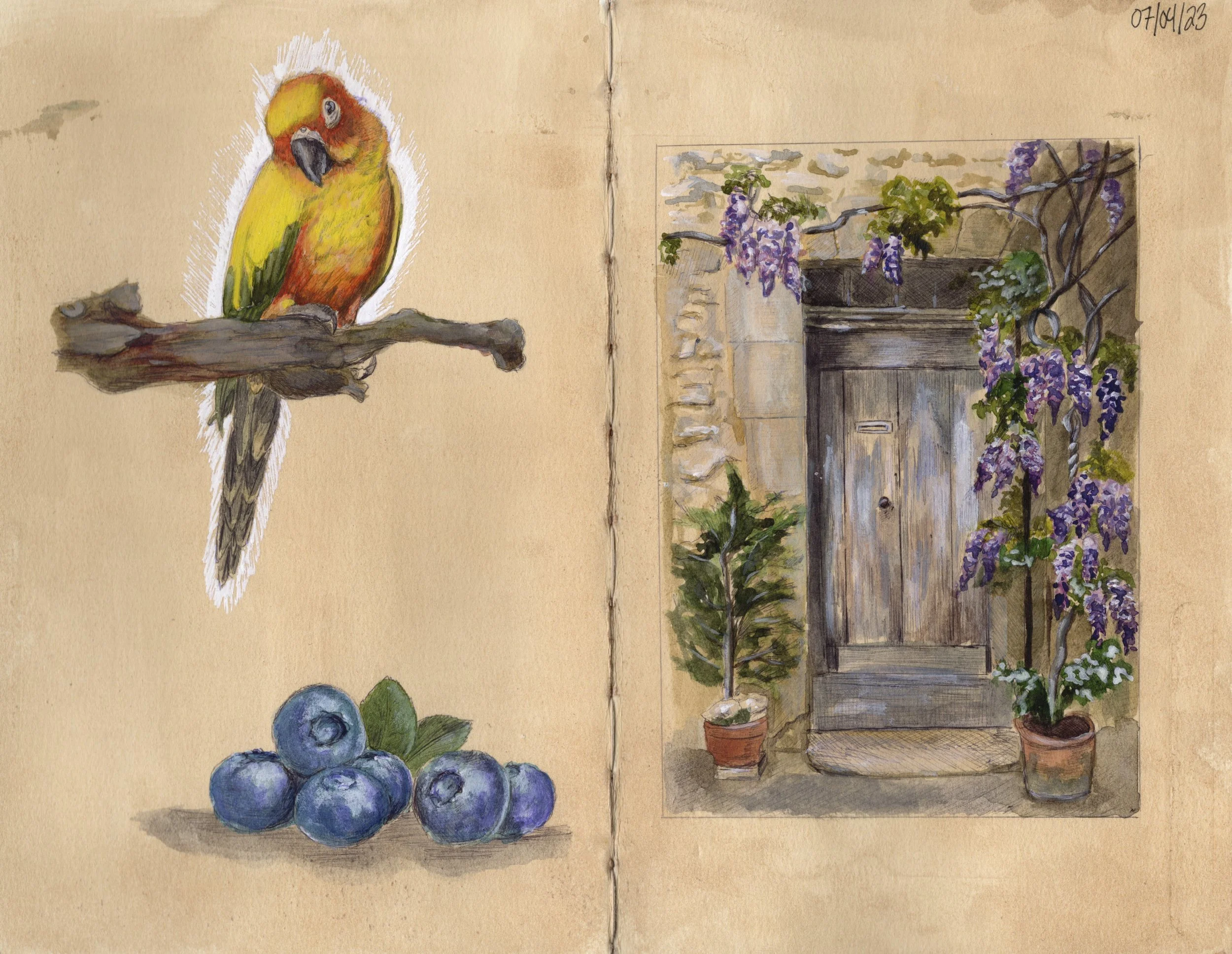 Sketchbook 07/04/2023, Ballpoint Pen and Watercolor on Paper, 8.5"x11", 2023