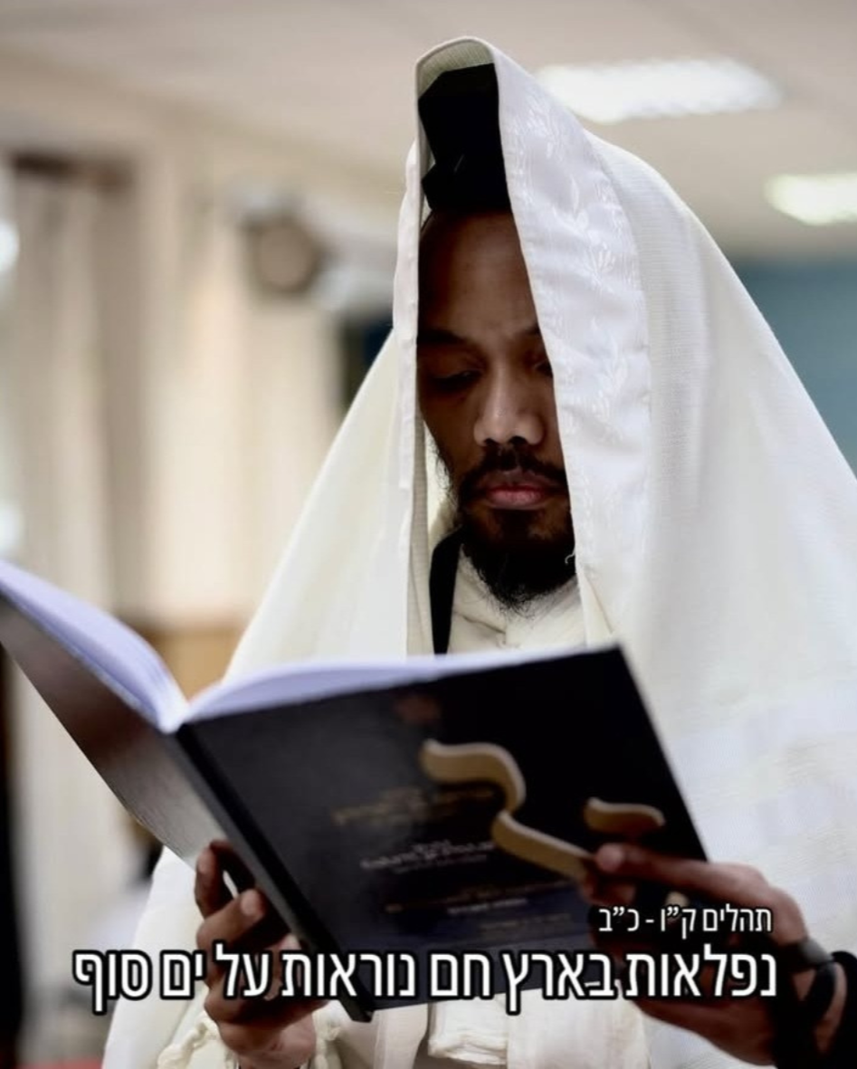 The Hidden Israel: a flower among grasses