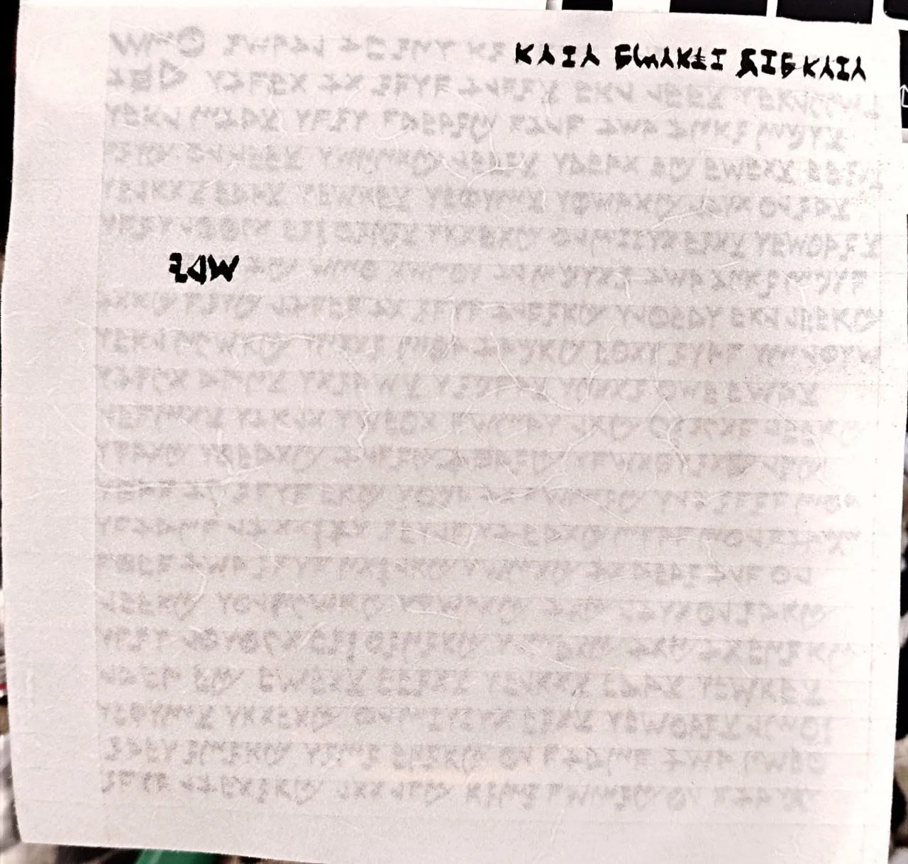 photo_2025-07-10_06-17-03.jpg (Copy)