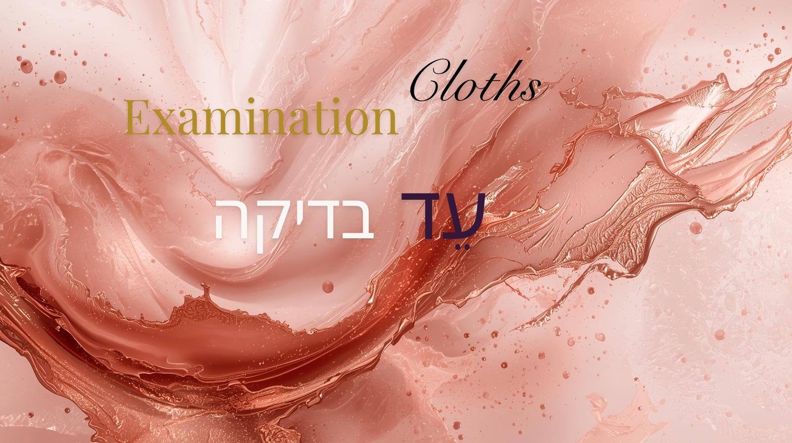 Edot Bedikot for Shivah Nekiyim (Examination Cloths)