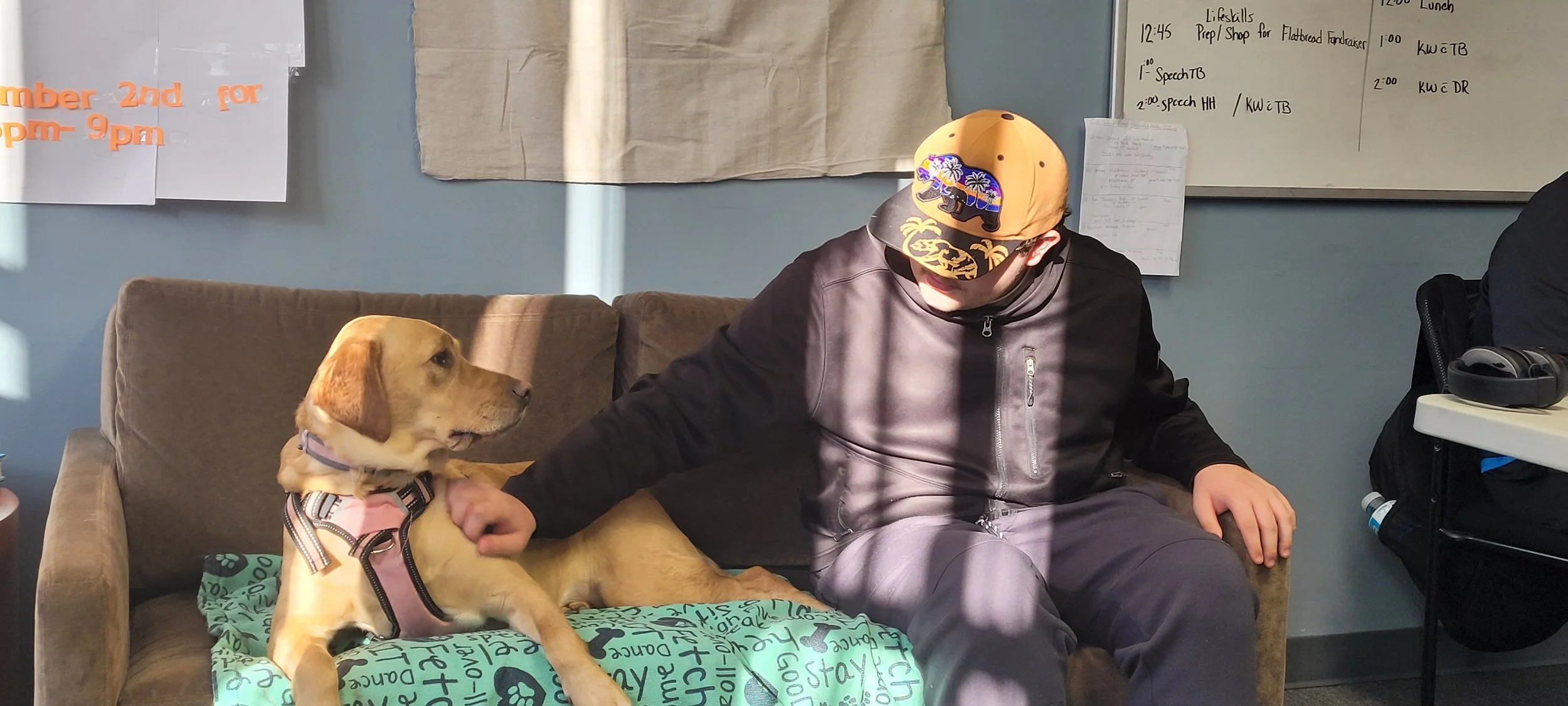 A young man in a black jacket and yellow baseball cap sitting on a brown couch, petting a tan puppy wearing a pink harness, in an indoor setting with beige walls and whiteboards behind them.