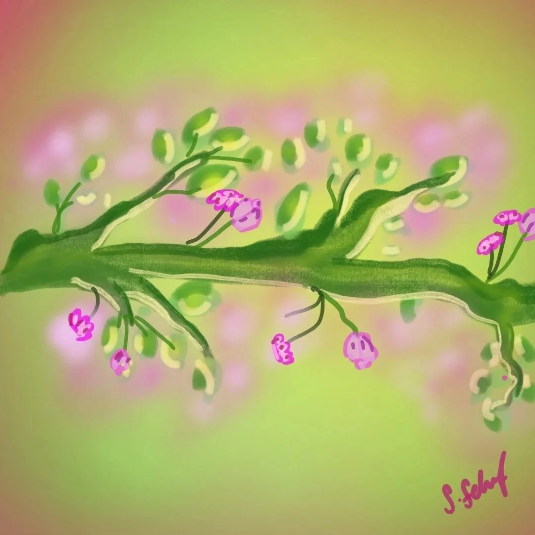 plant aponying.jpg