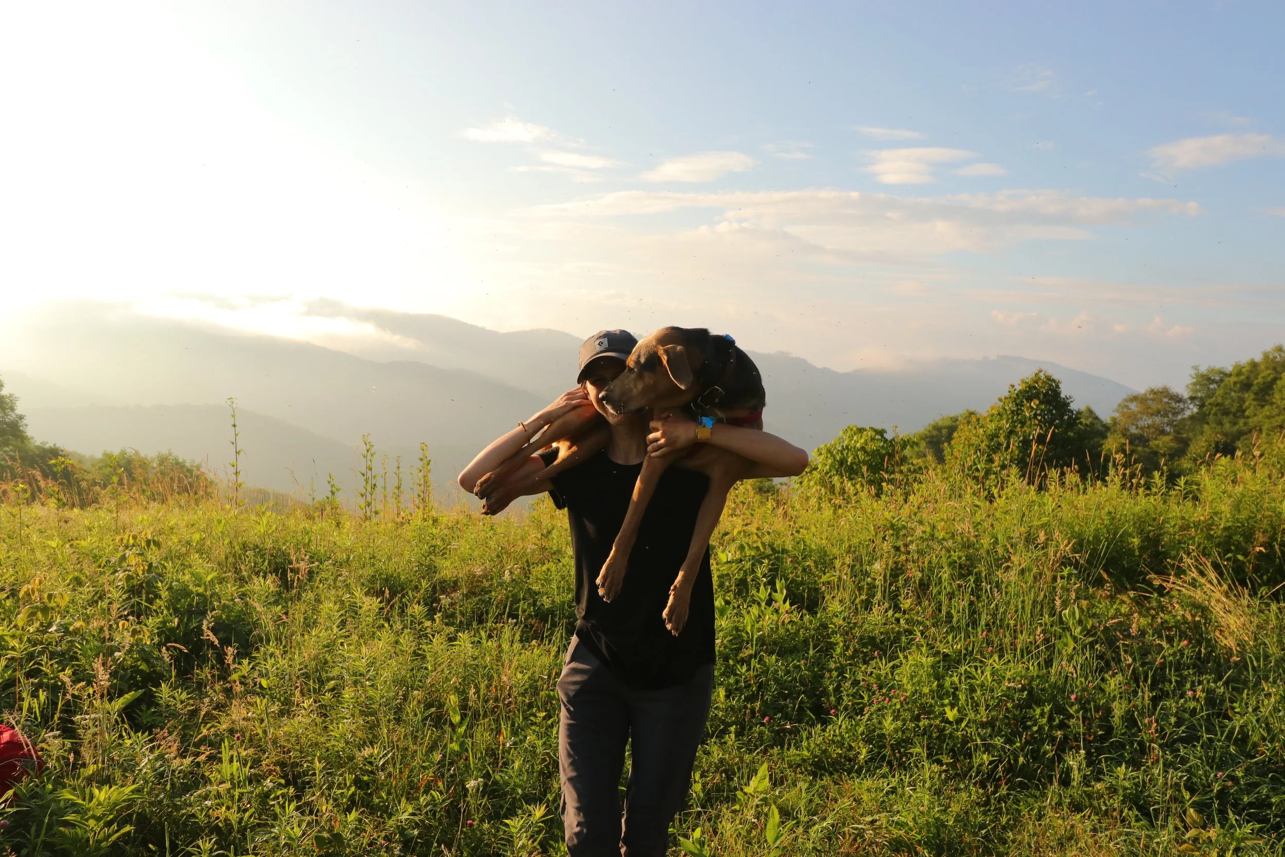 Ecologist Heidi Bencin holding her dog Indie on her shoulders, at sunrise with wildflowers and mountains in the background. Indie is a conservation detection dog and helps save wildlife.