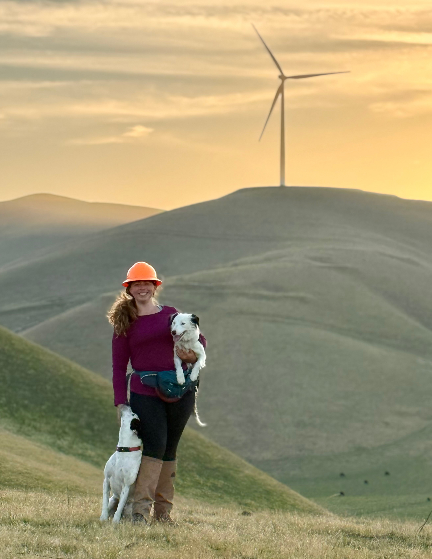 Biologist and dog trainer Sara Fangton with her two conservation detection dogs Wren and Emma. They are on a windfarm at golden hour posing for a picture. Wren and Emma are trained to find bird and bat fatalities to aid in conservation efforts.