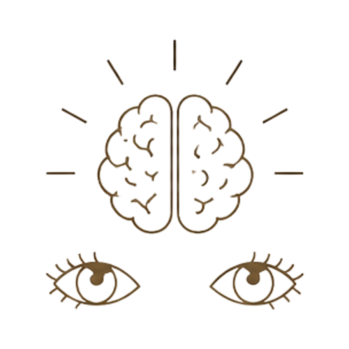 Brain and eyes — See