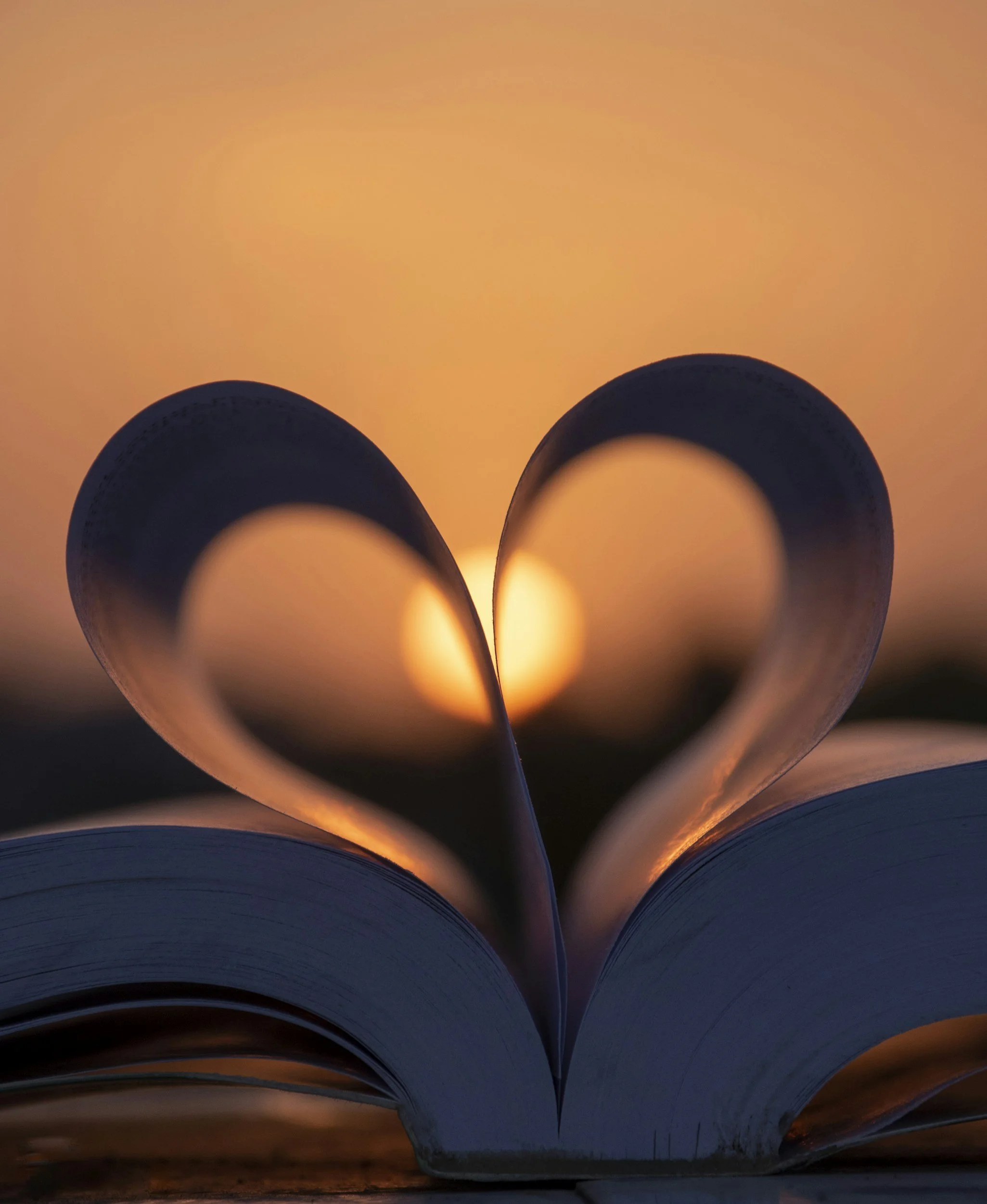 An open book with pages curved to form a heart shape, backlit by a sunset, creating a romantic and warm atmosphere.