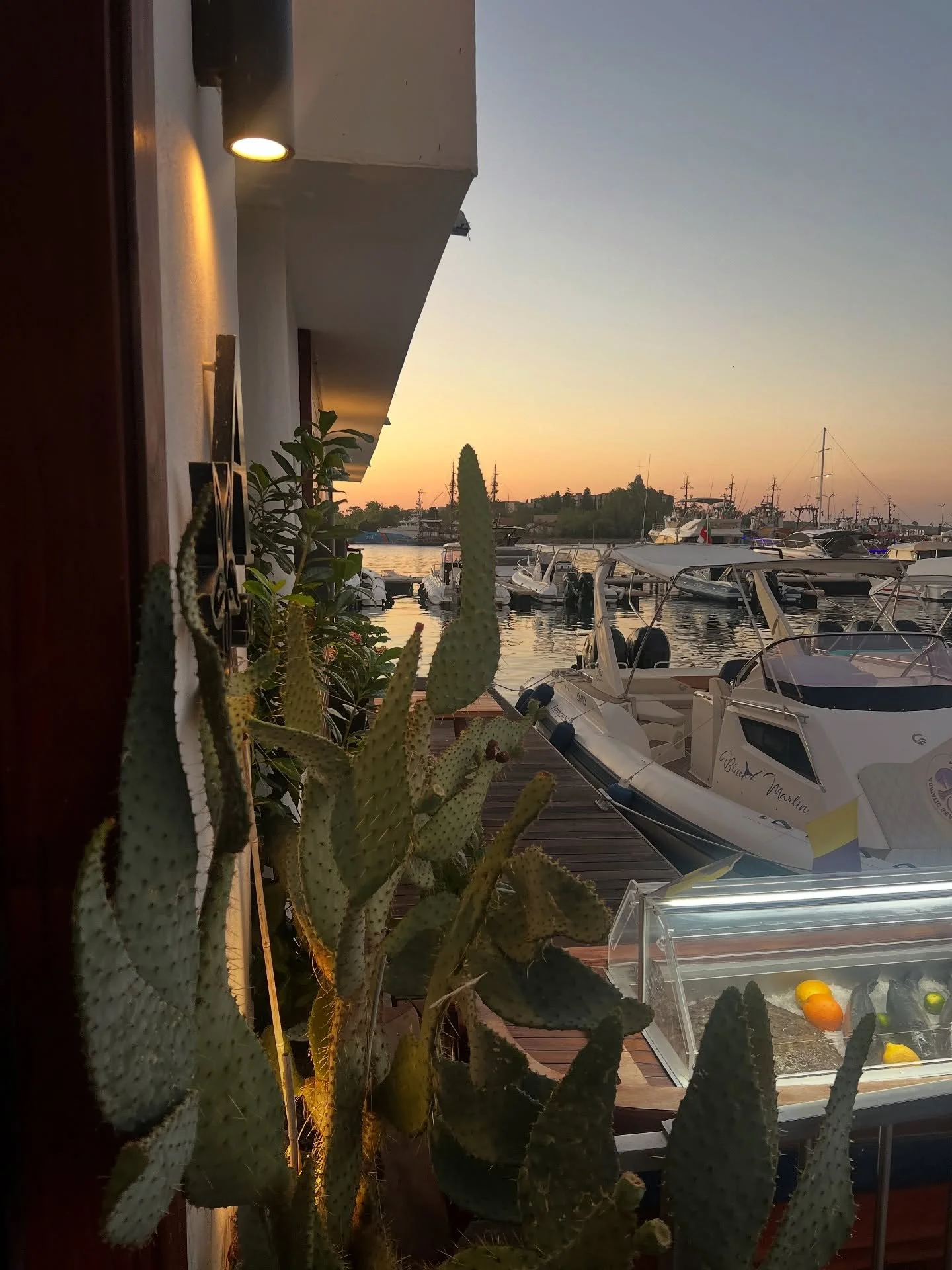 This and nothing more 🌅
#azaharsozopol #spanishrestaurantsozopol #paellasozopol