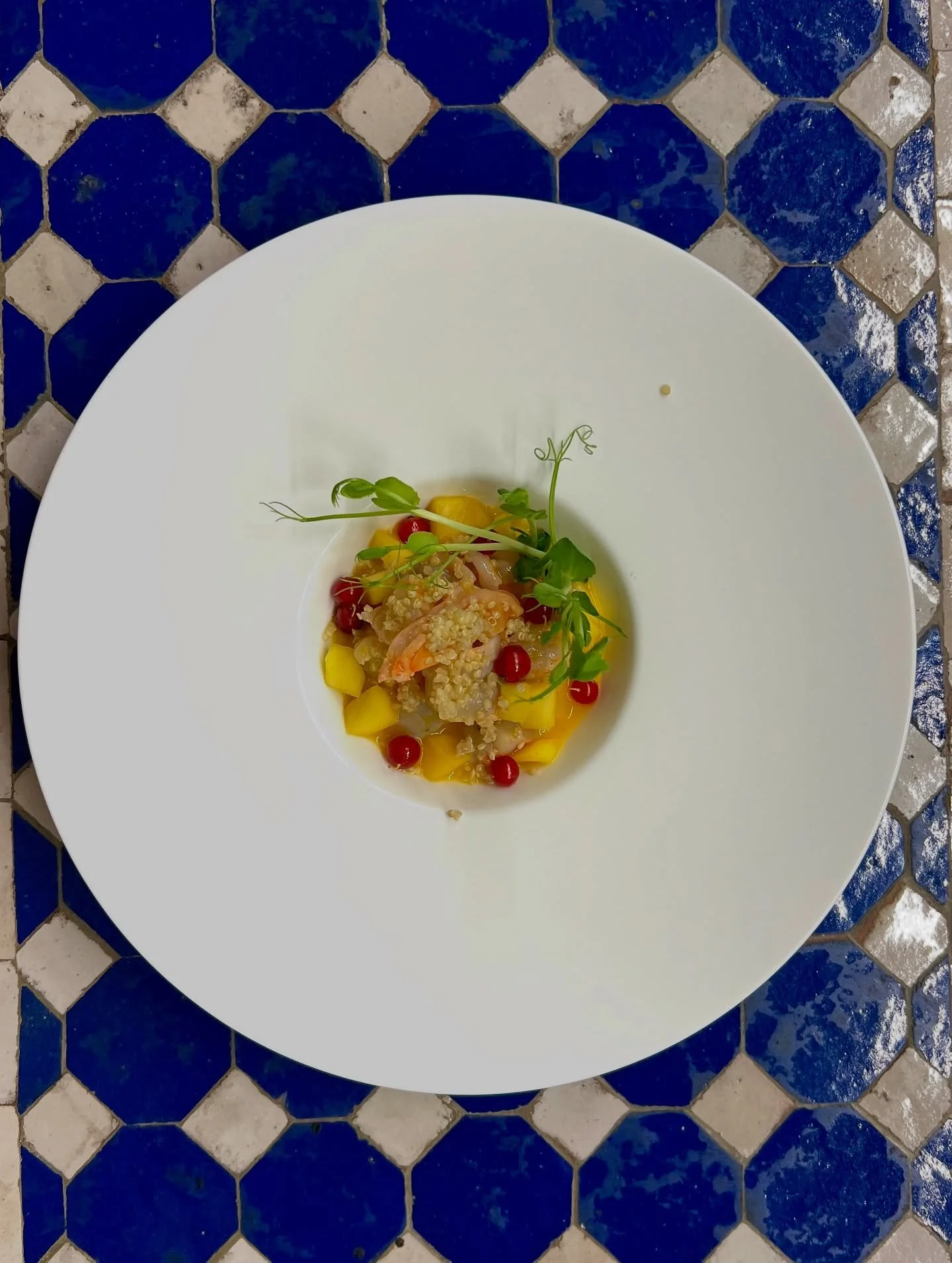 Севиче със скарида &ndash; свежест във всяка хапка.🦐🍋✨
#spanishcusine #azaharestaurante #shrimpseviche