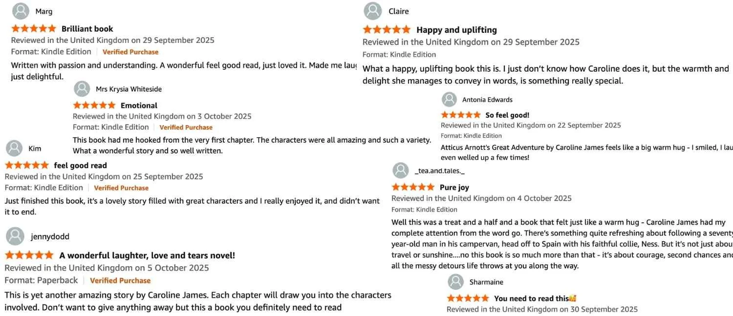 Self Published Author Book Reviews on Amazon