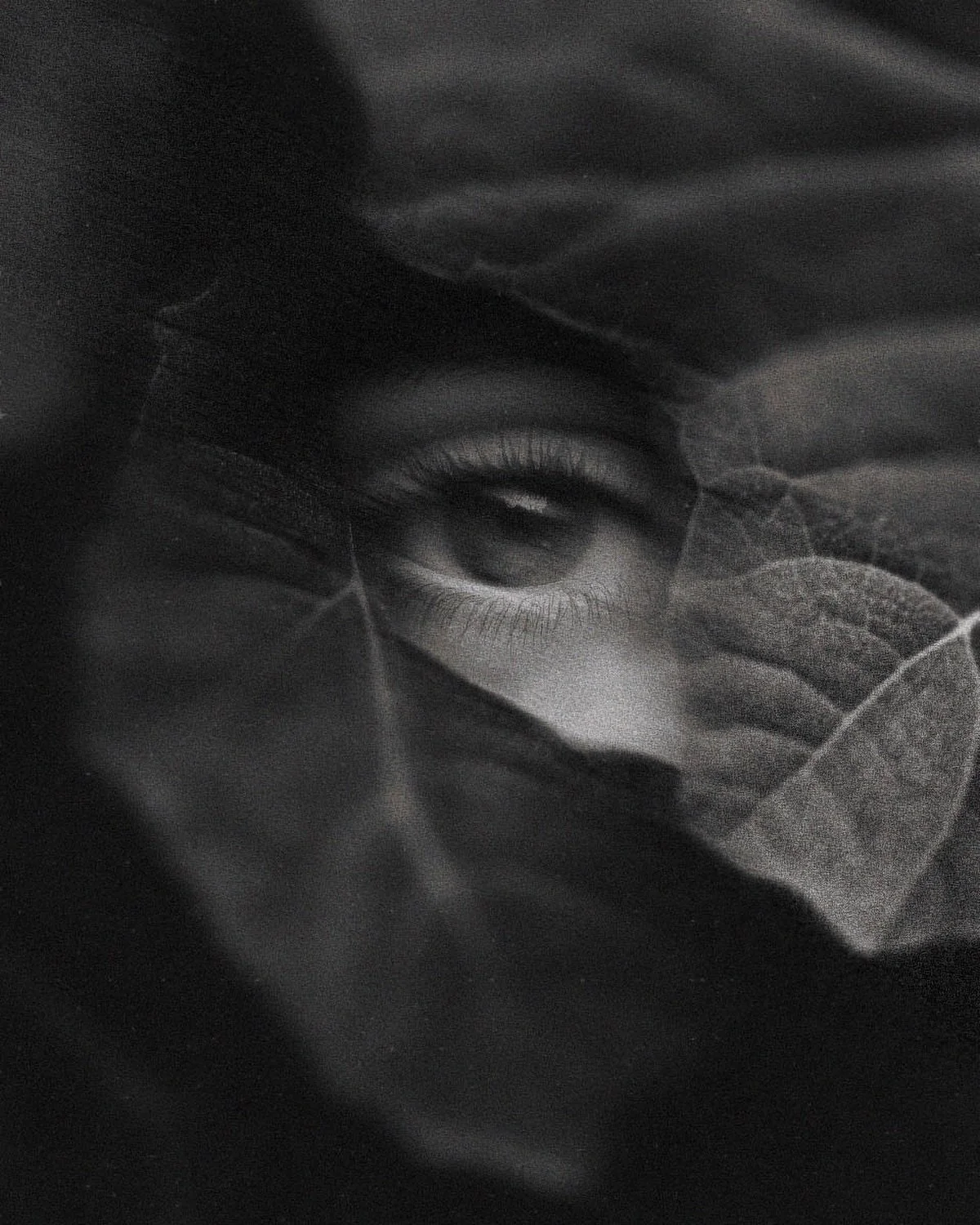 The urge to see what&rsquo;s beyond. 
beyond once you shade 

like wanting something different, not known, fresh..