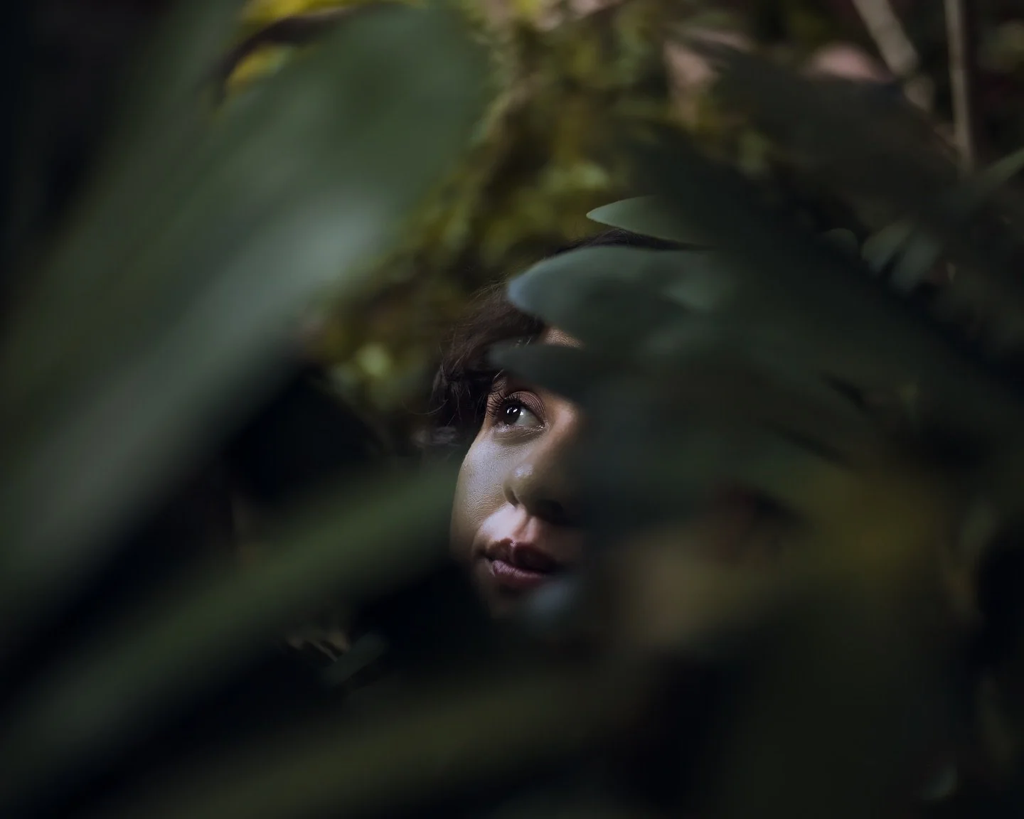 ᝰ.ᐟ  We choose not to fit, in a made-up world, shaped by standardized beauty, with expectations that are not ours.

Redefining the narrative. 

#outdoorsnarratives #photocuration #realbeauty #naturalbeauty #intothewild