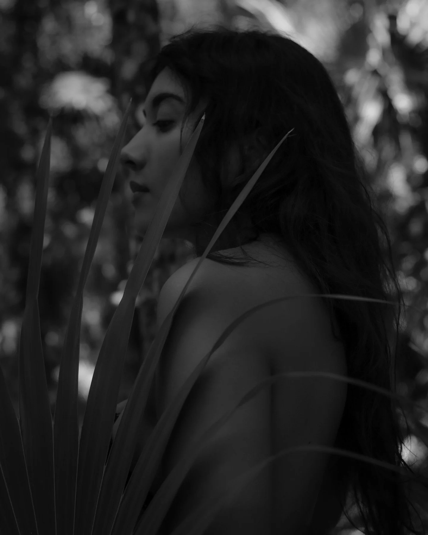 ᝰ.ᐟ 
Pocahontas 🪶

Es tut mir leid Pocahontas 
Ich hoffe du wei&szlig;t das 🎧&hellip;