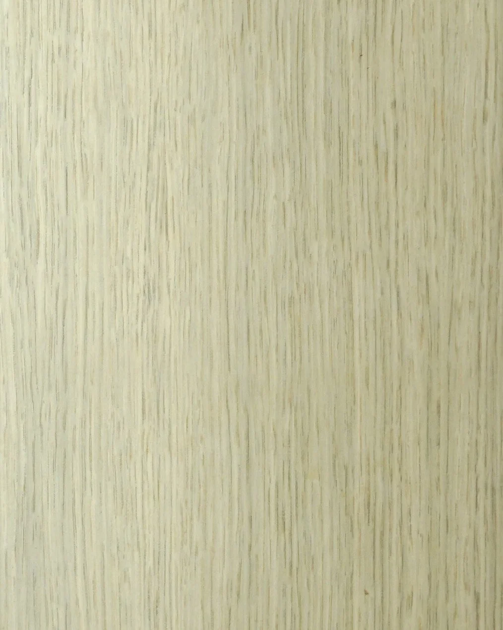 HTC02880 copy.JPG