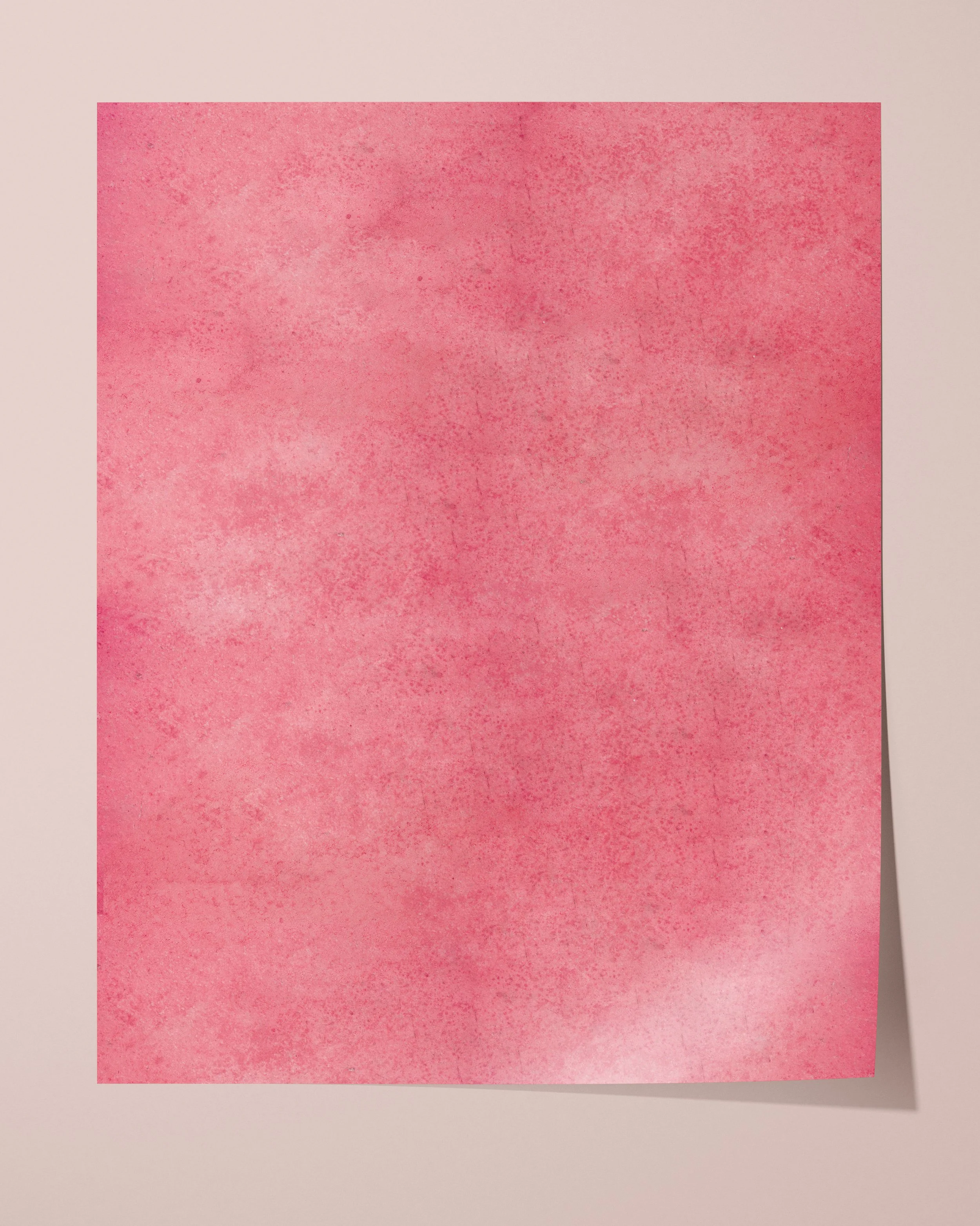 Blush_crush.jpg (Copy)