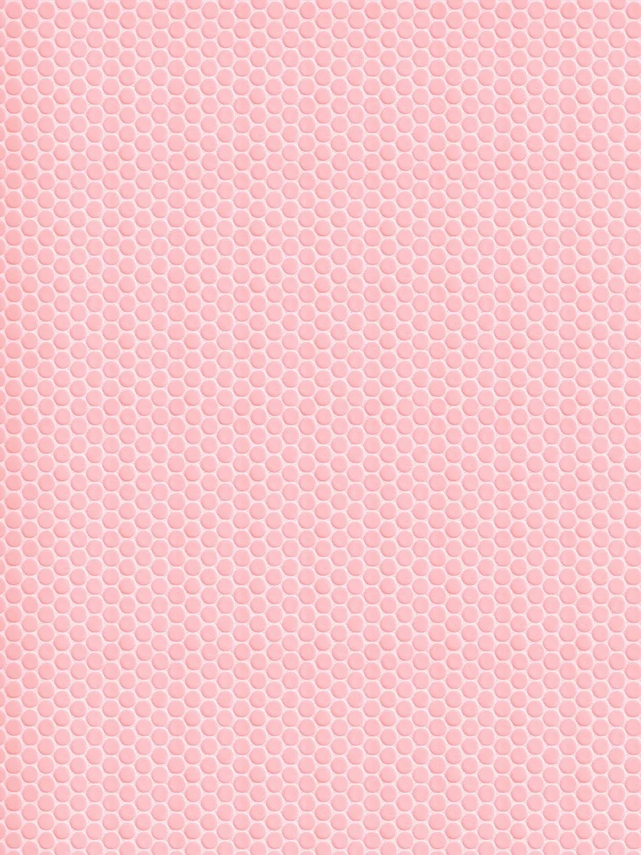Pink_Penny_36x48 copy.jpg (Copy)