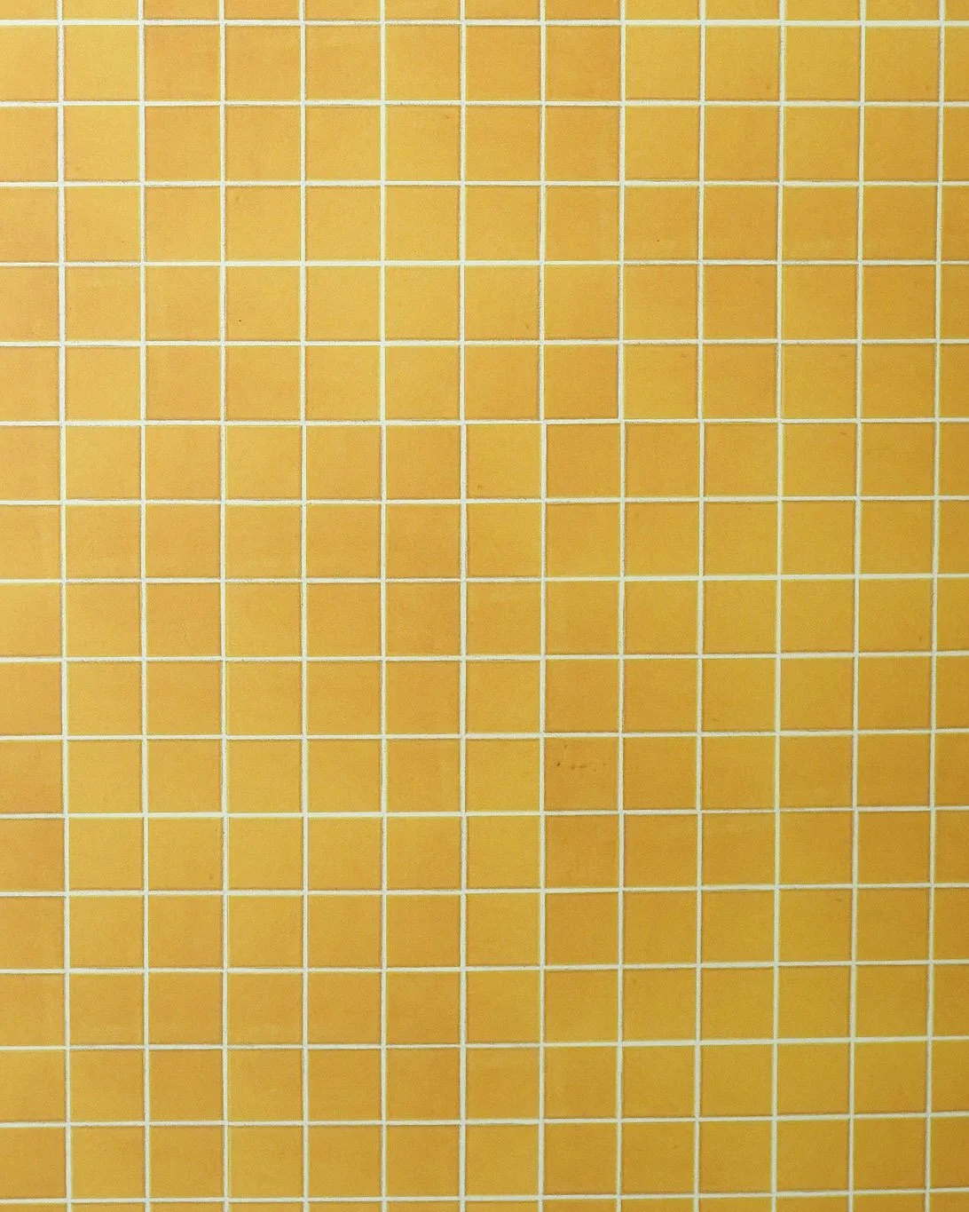 HTC02866 copy.JPG