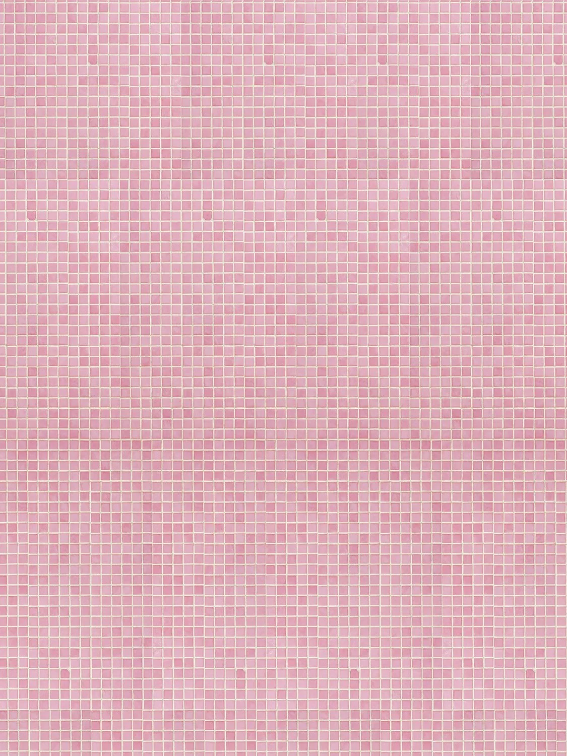 Rosa_Maria_web.jpg