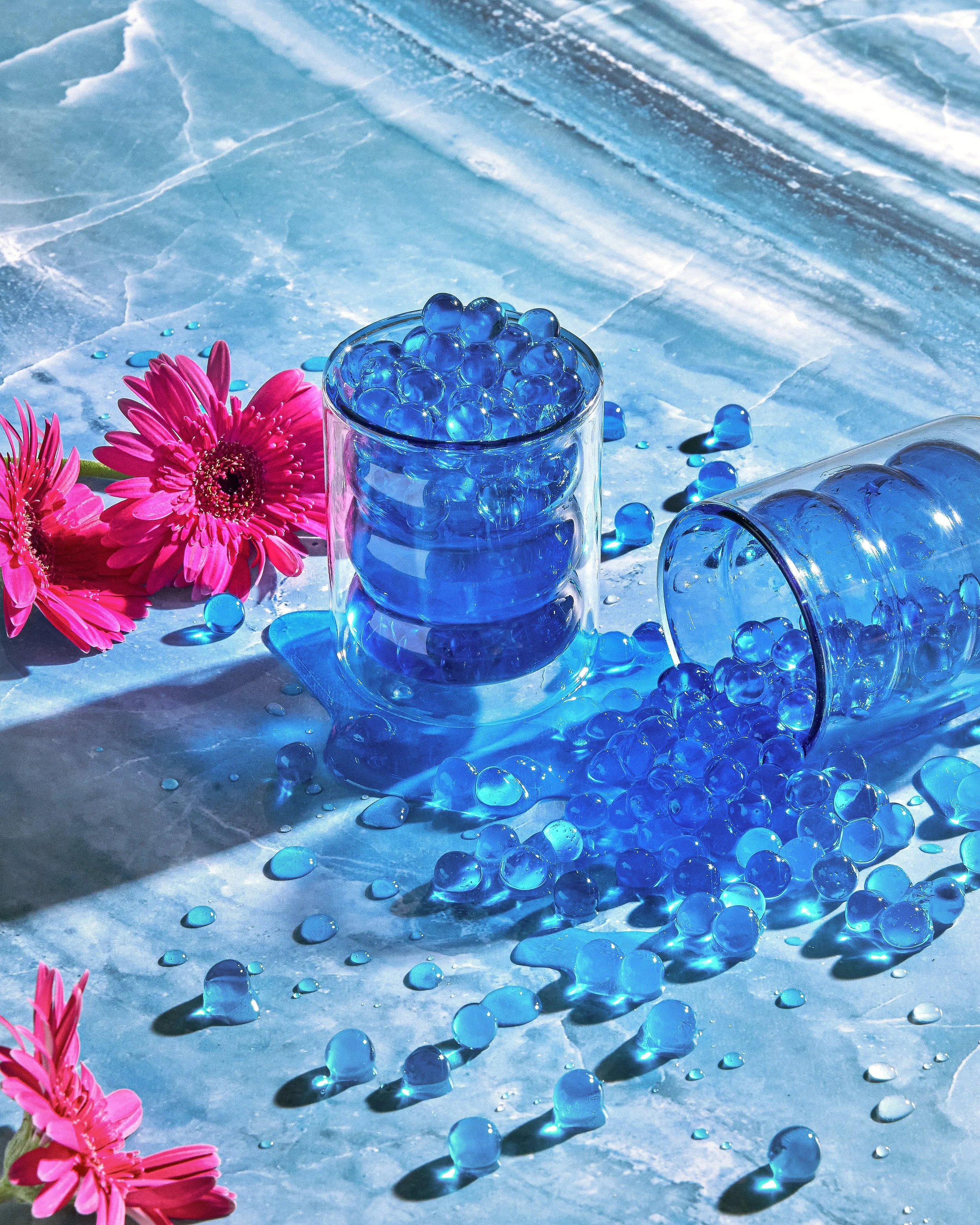 2024_WP3301.jpg (Copy)