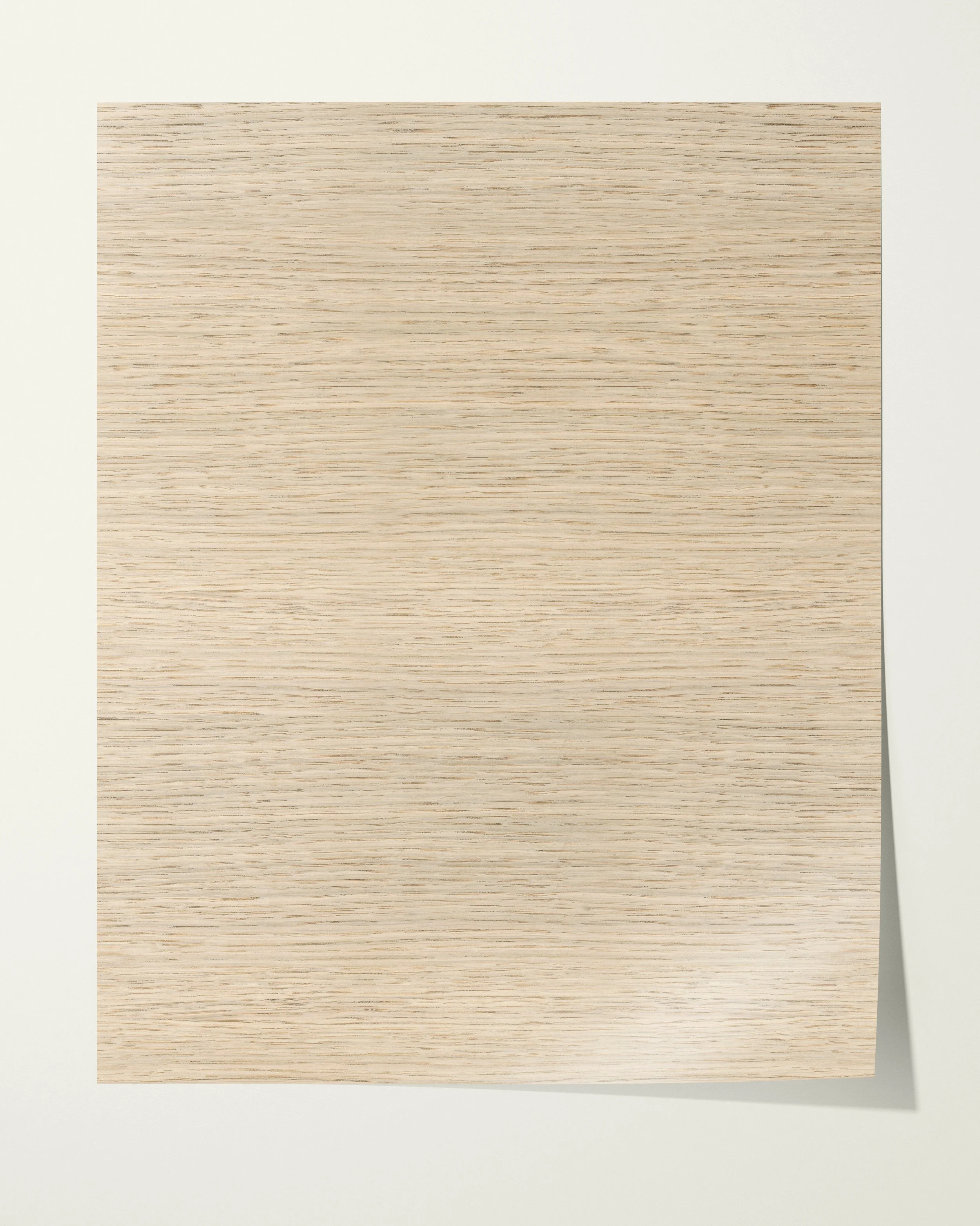 Birch Wood