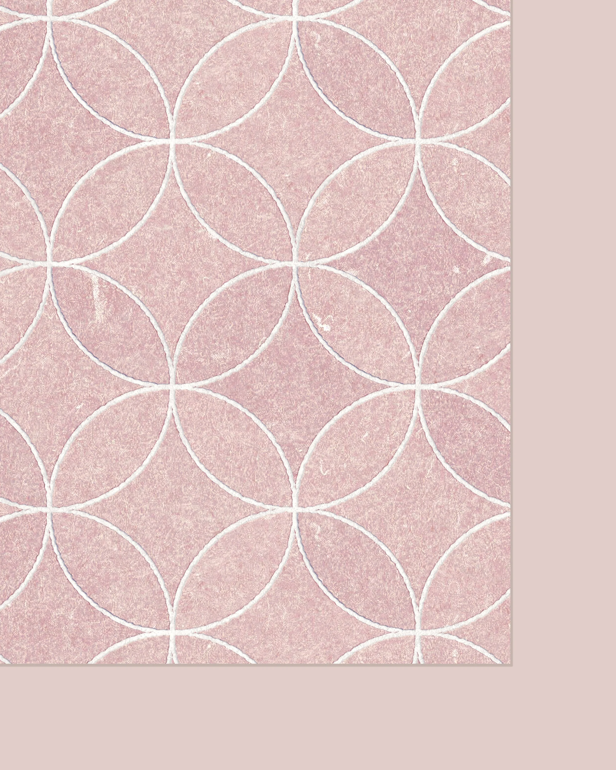 Close_up_whimsey.jpg (Copy)