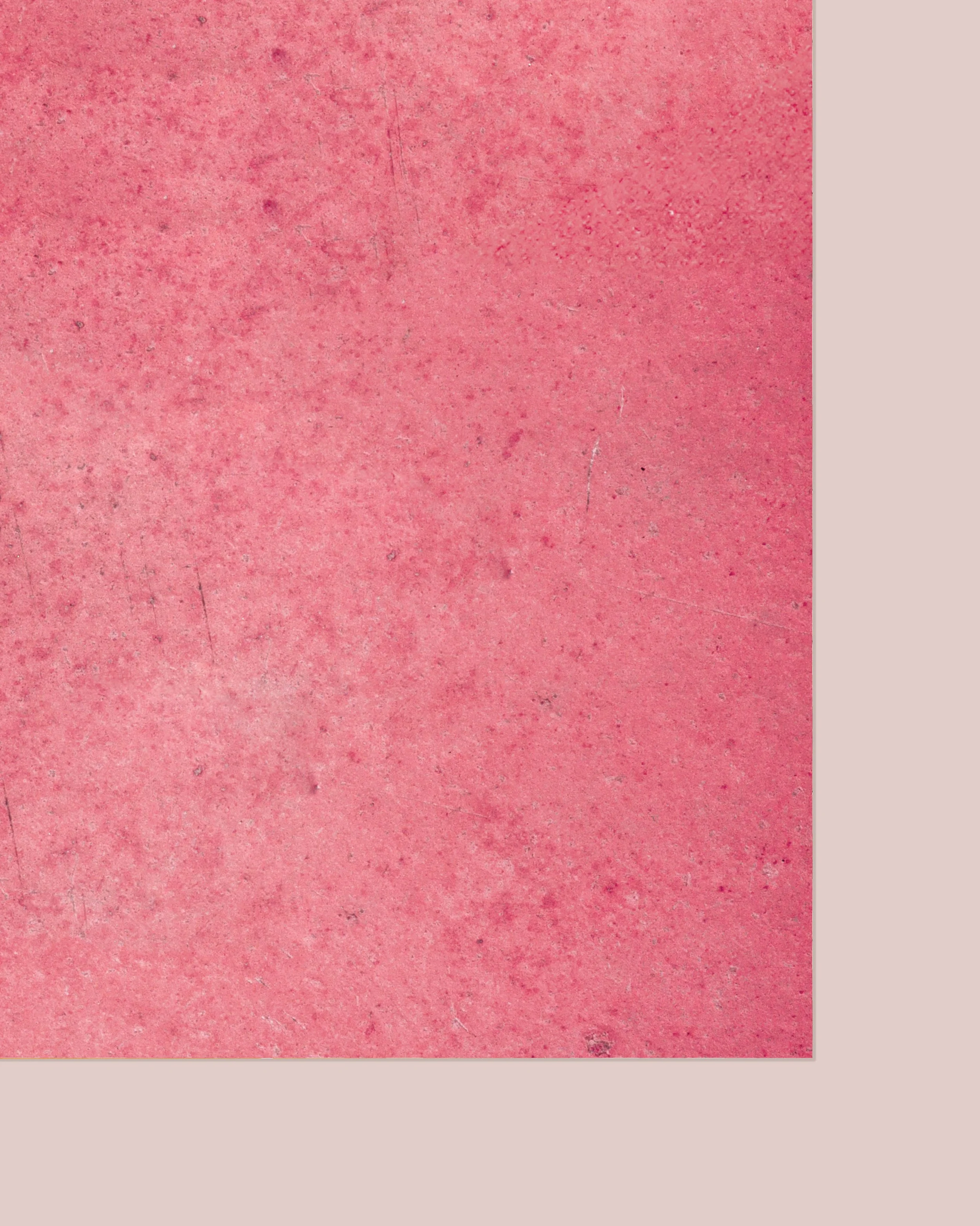 Close_up_tangerine copy.jpg (Copy)