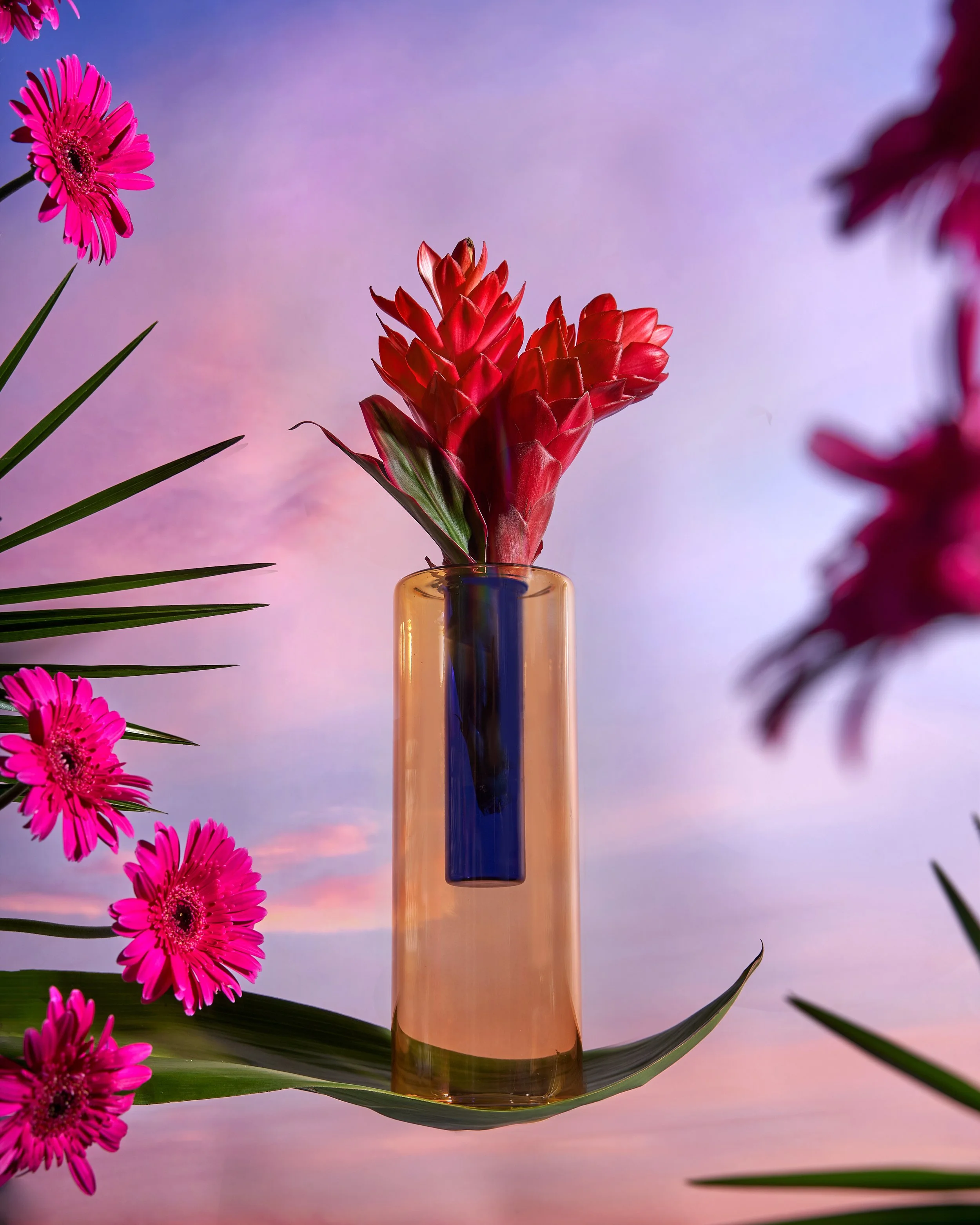 2024_WP1154.jpg (Copy)