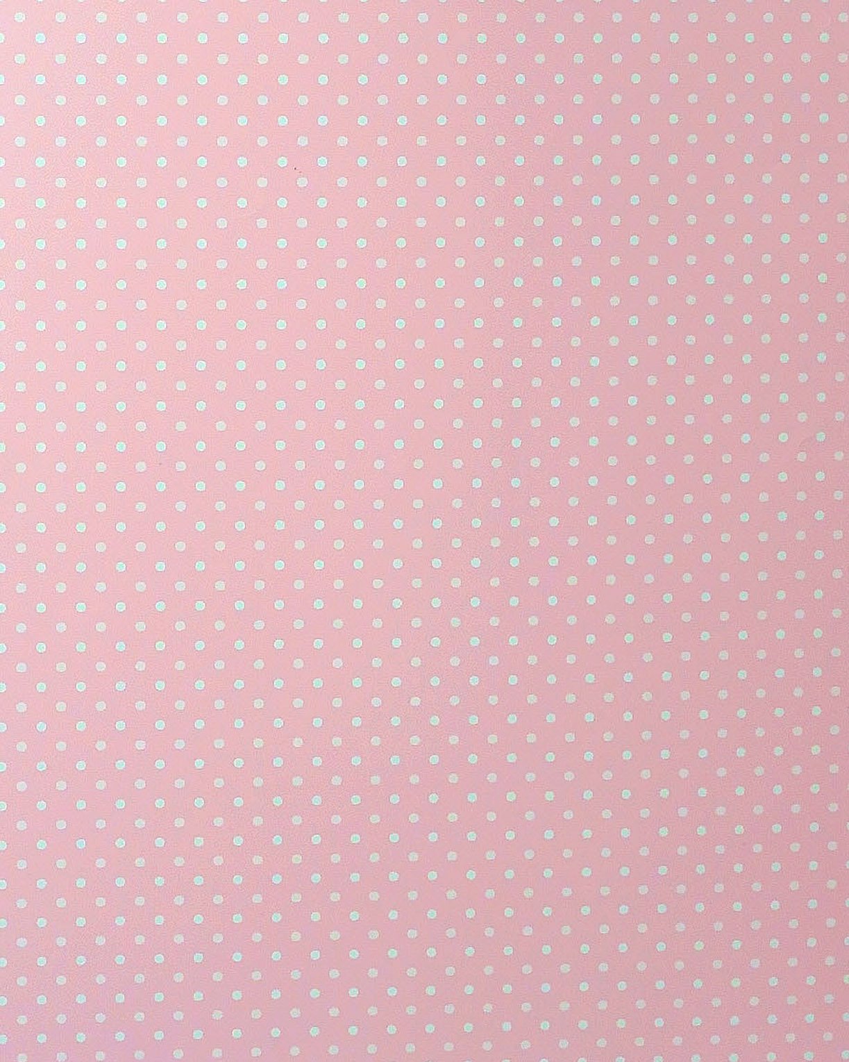 HTC02878 copy.JPG
