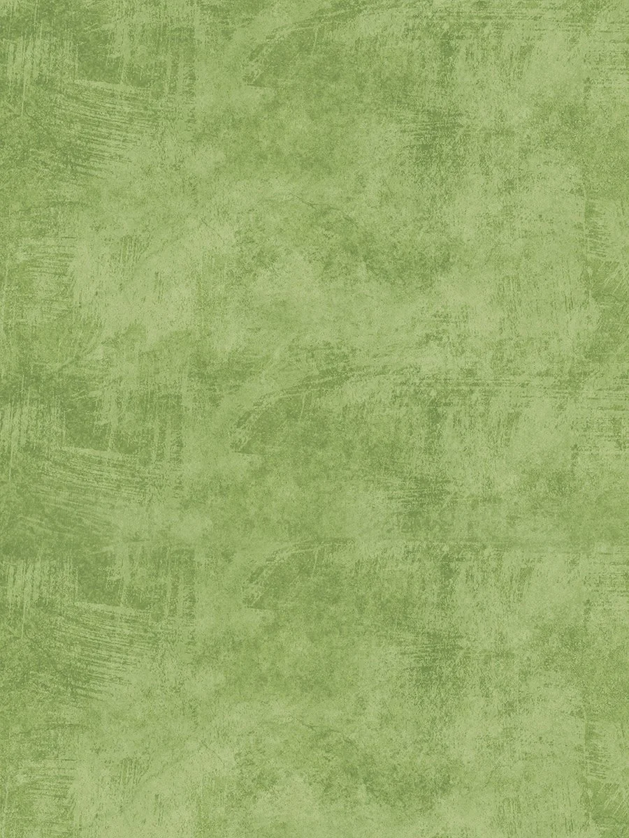 FernHaze_web.jpg