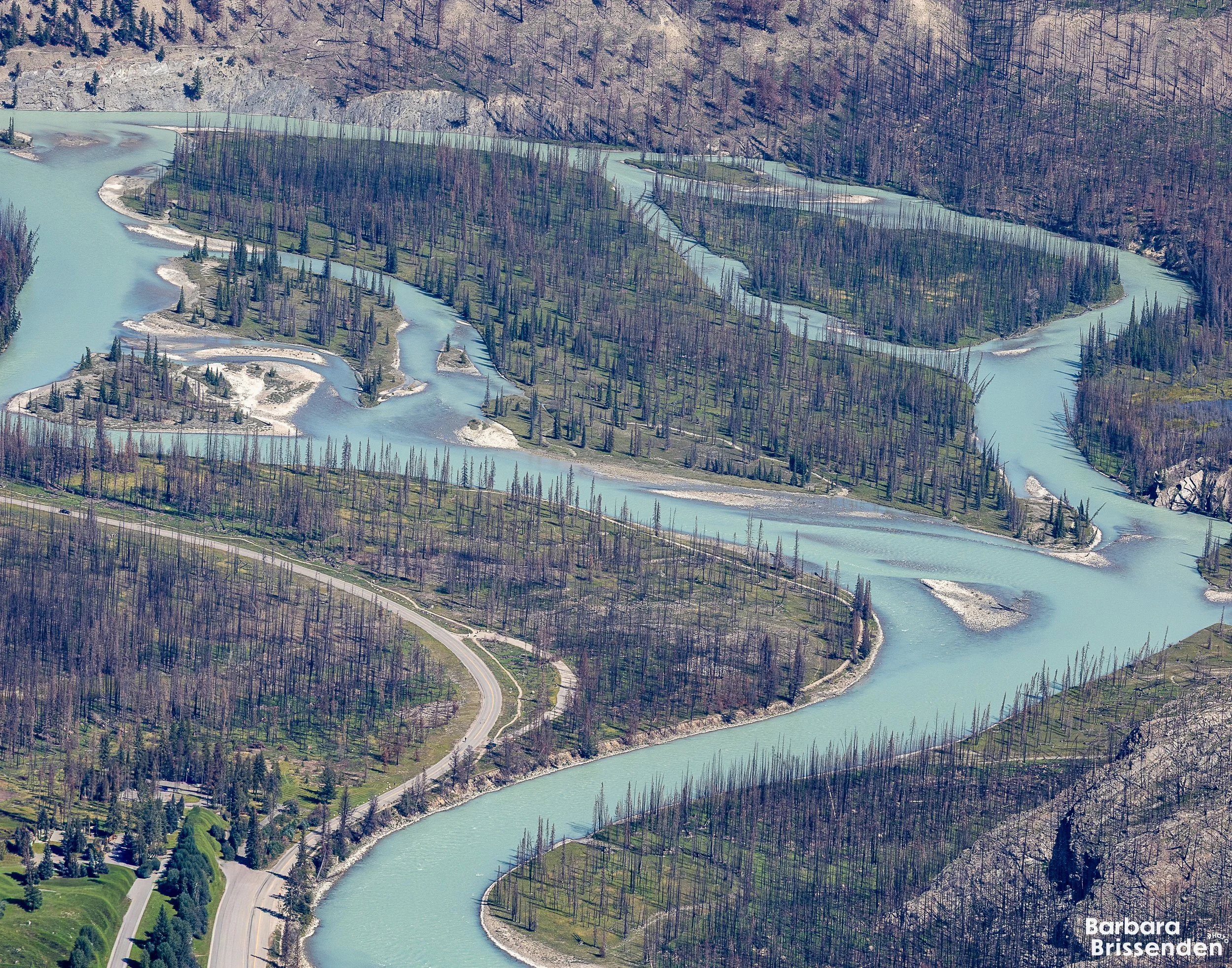 After Jasper Fire.jpg