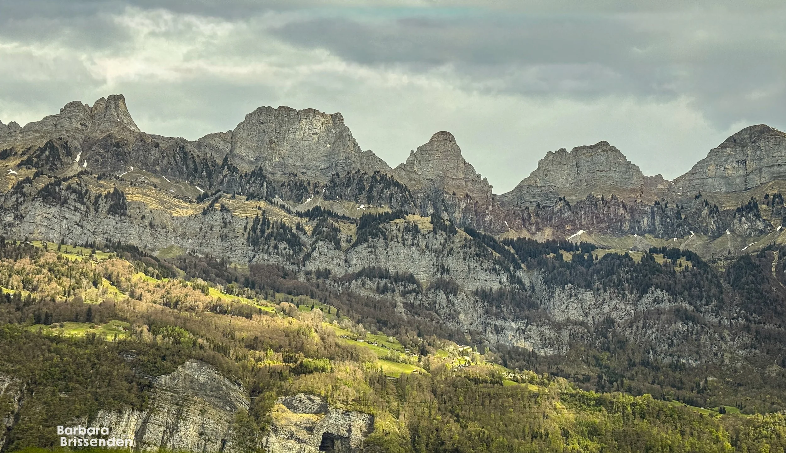 Mountain range with rocky peaks and green forested slopes in the foreground, overcast sky.