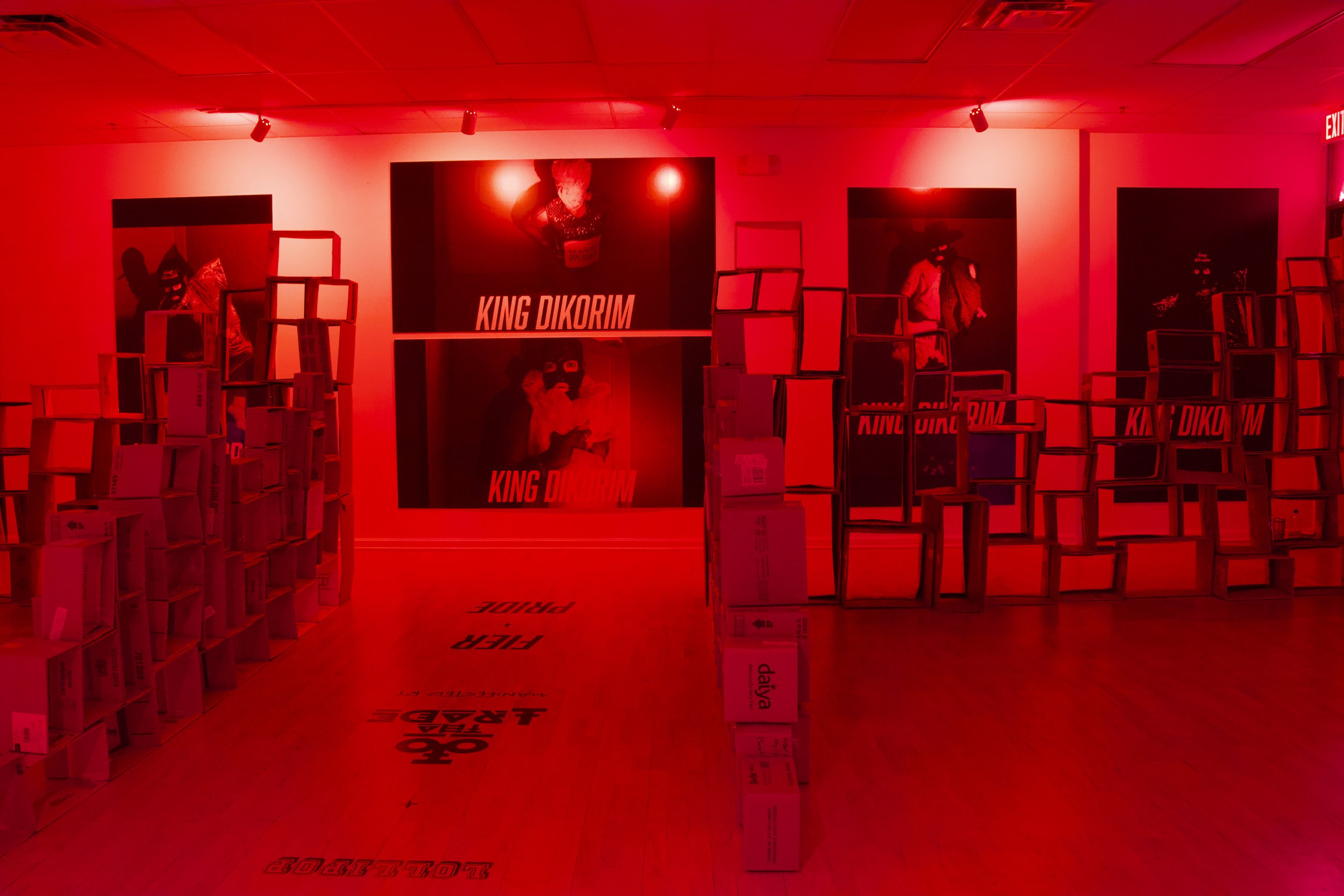 installation view 1.jpeg