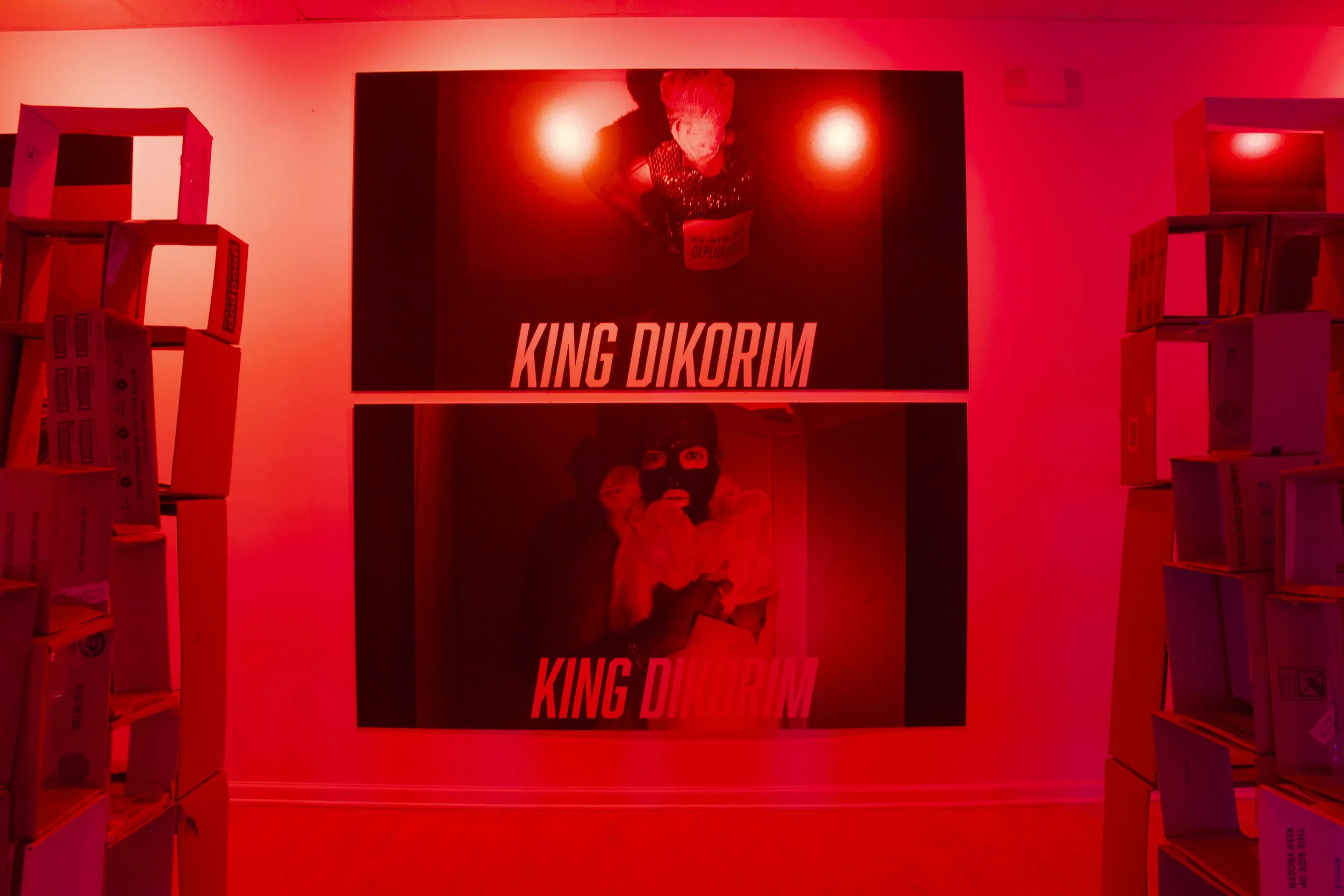 installation view 5.jpeg