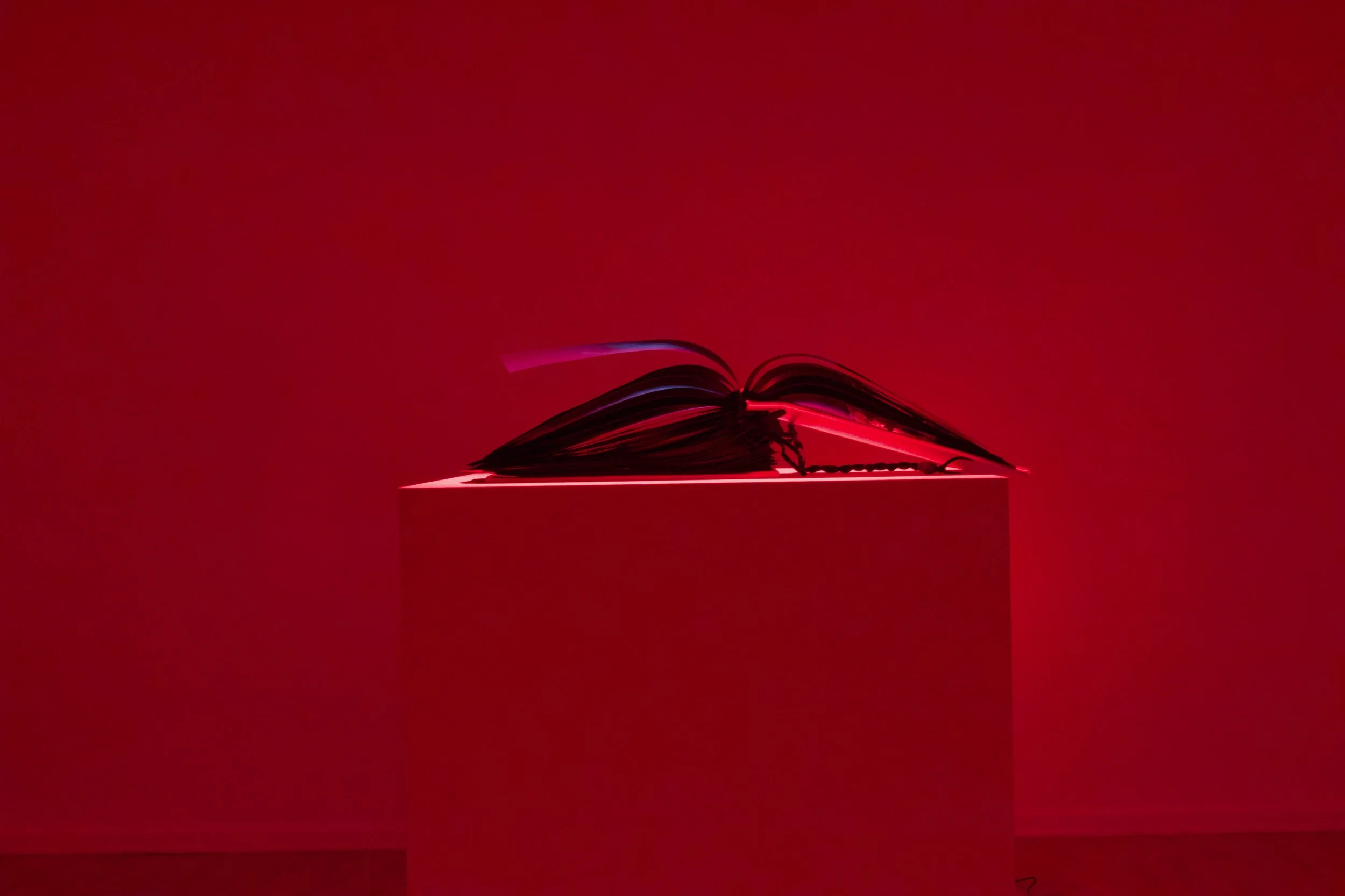 installation view detail 2.jpeg