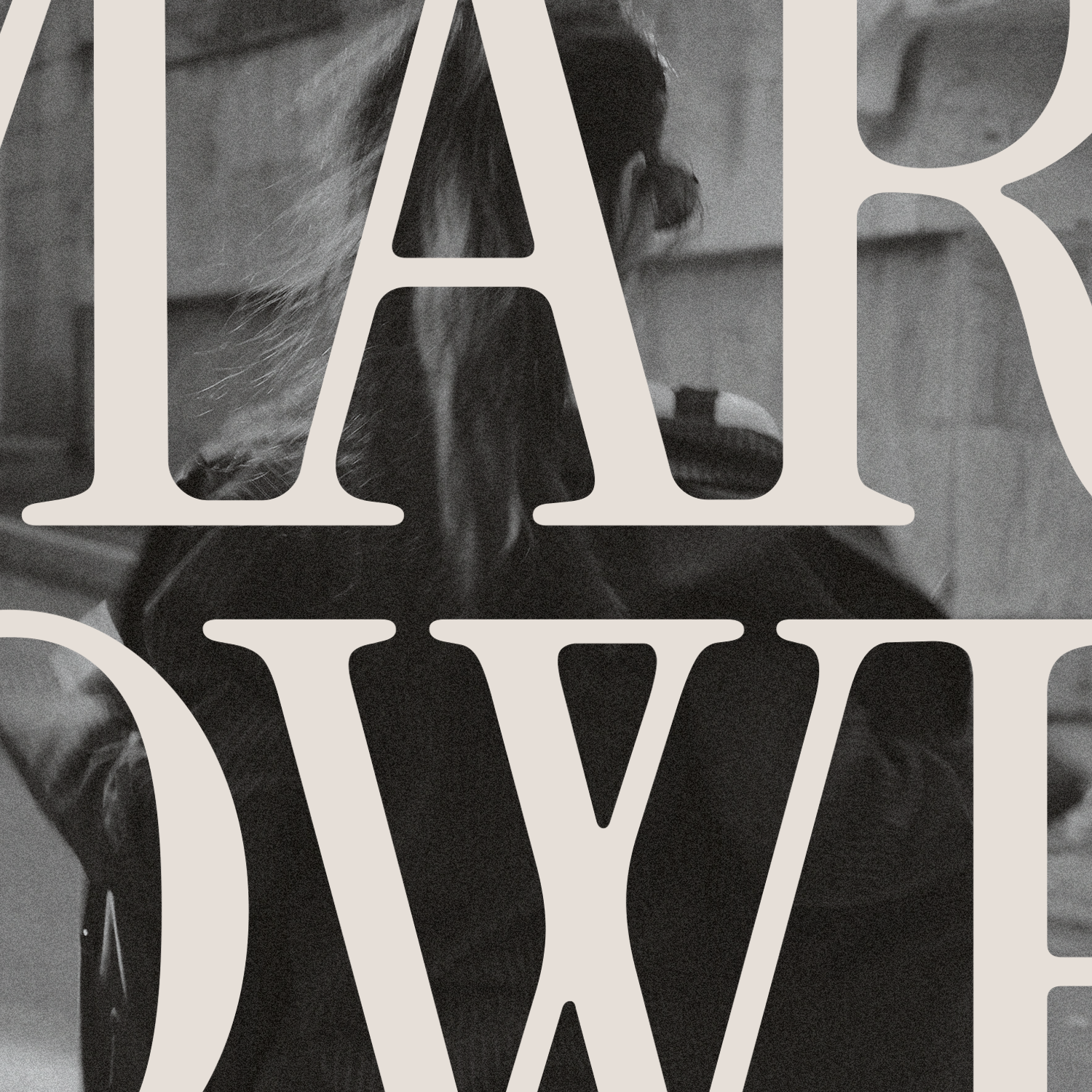 Black and white photo of a woman styling her hair with large, overlaid, beige-colored text reading 'HAIR' and 'DAY'.