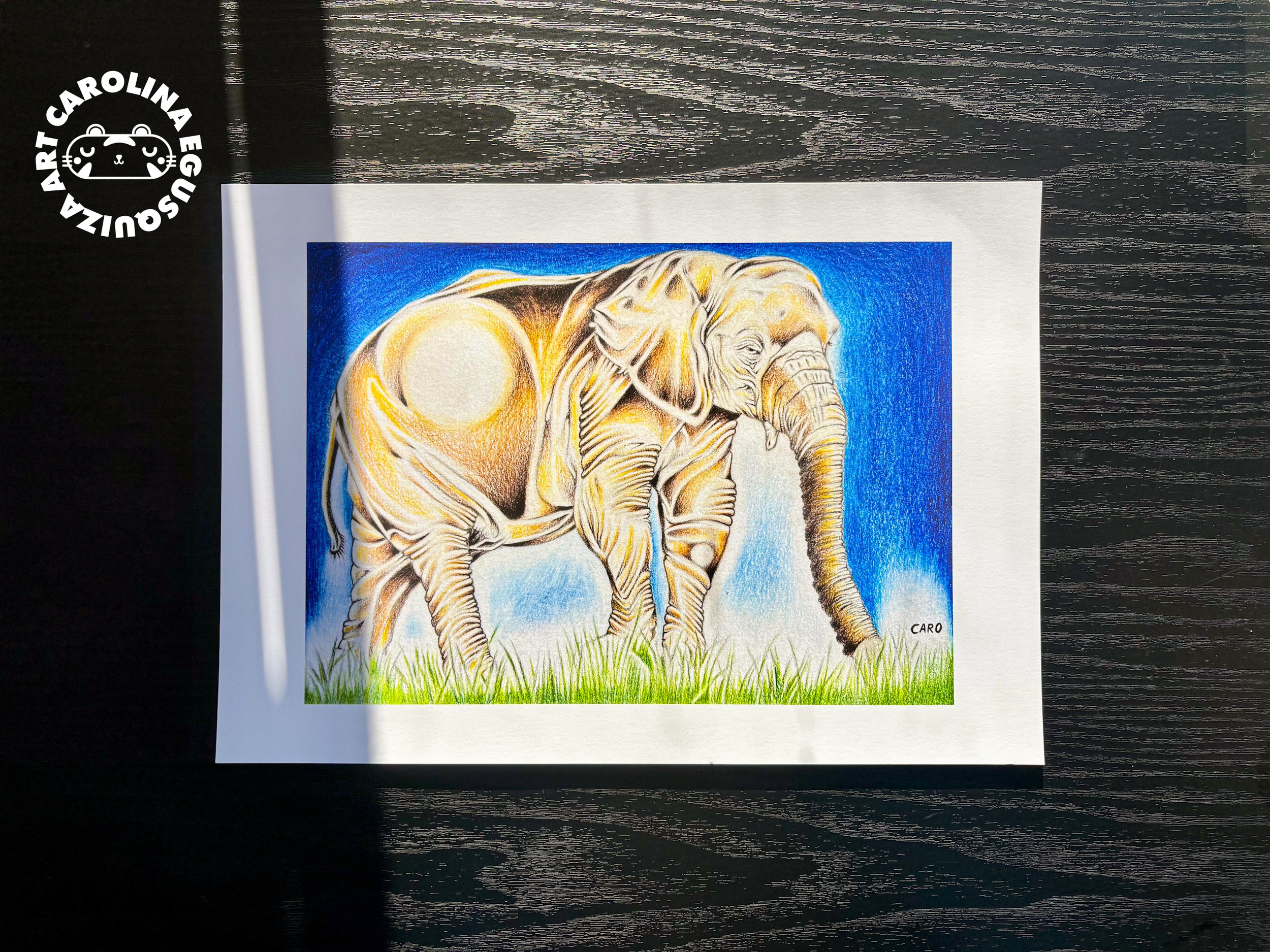 African Bush Elephant A4 Print With Logo.PNG
