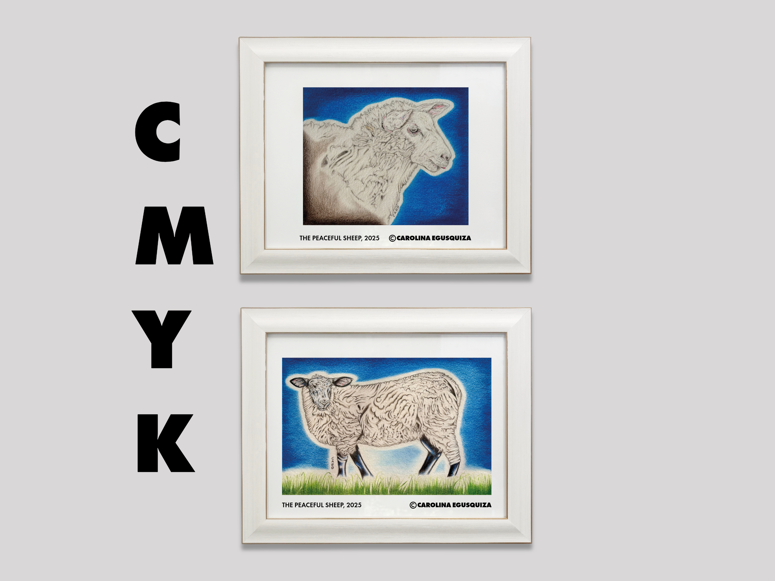 Sheep Drawings, CMYK Digital Download, Set of 12 Printables