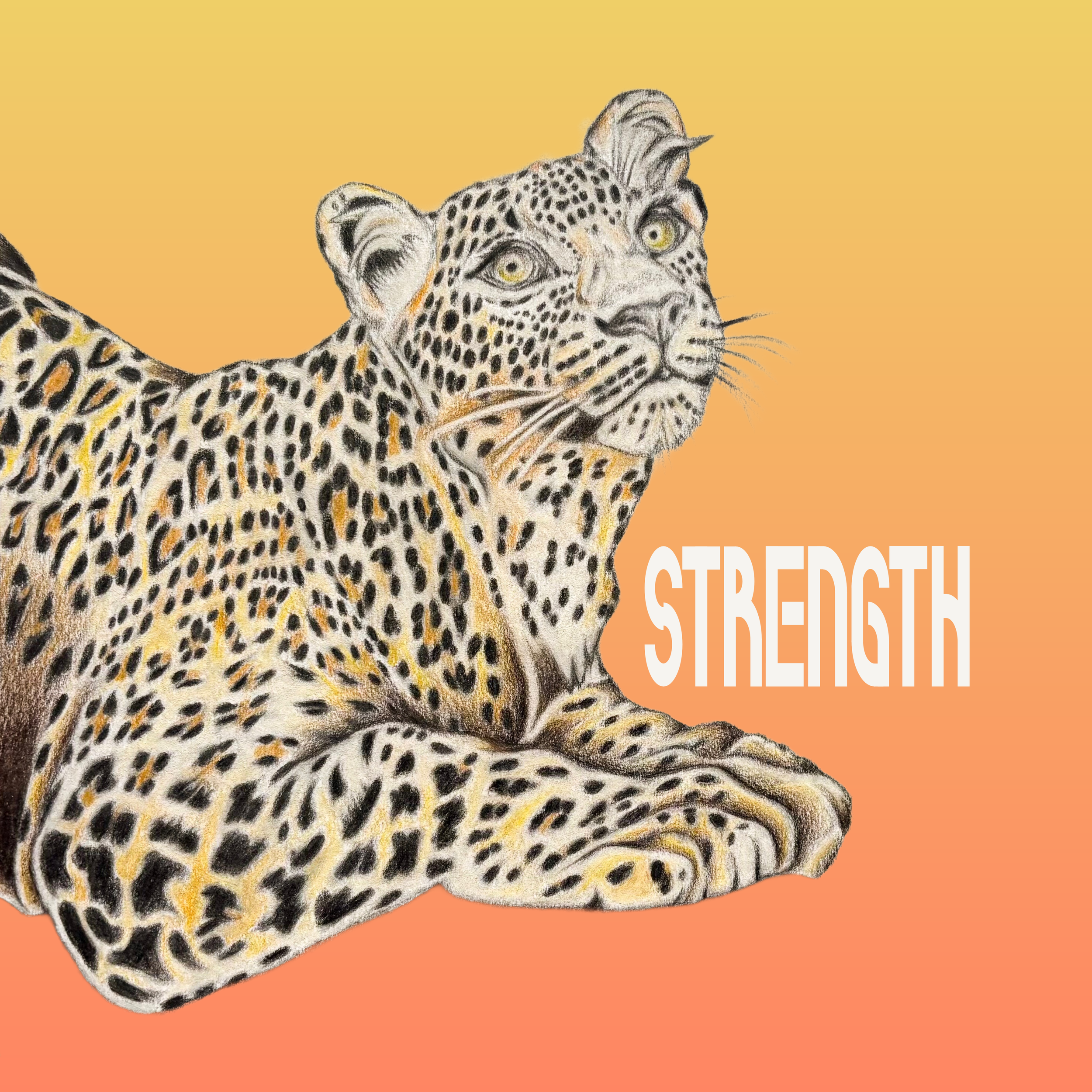 Mixed media banner of a leopard being in front of a colourful background. Logo is placed next to drawing.