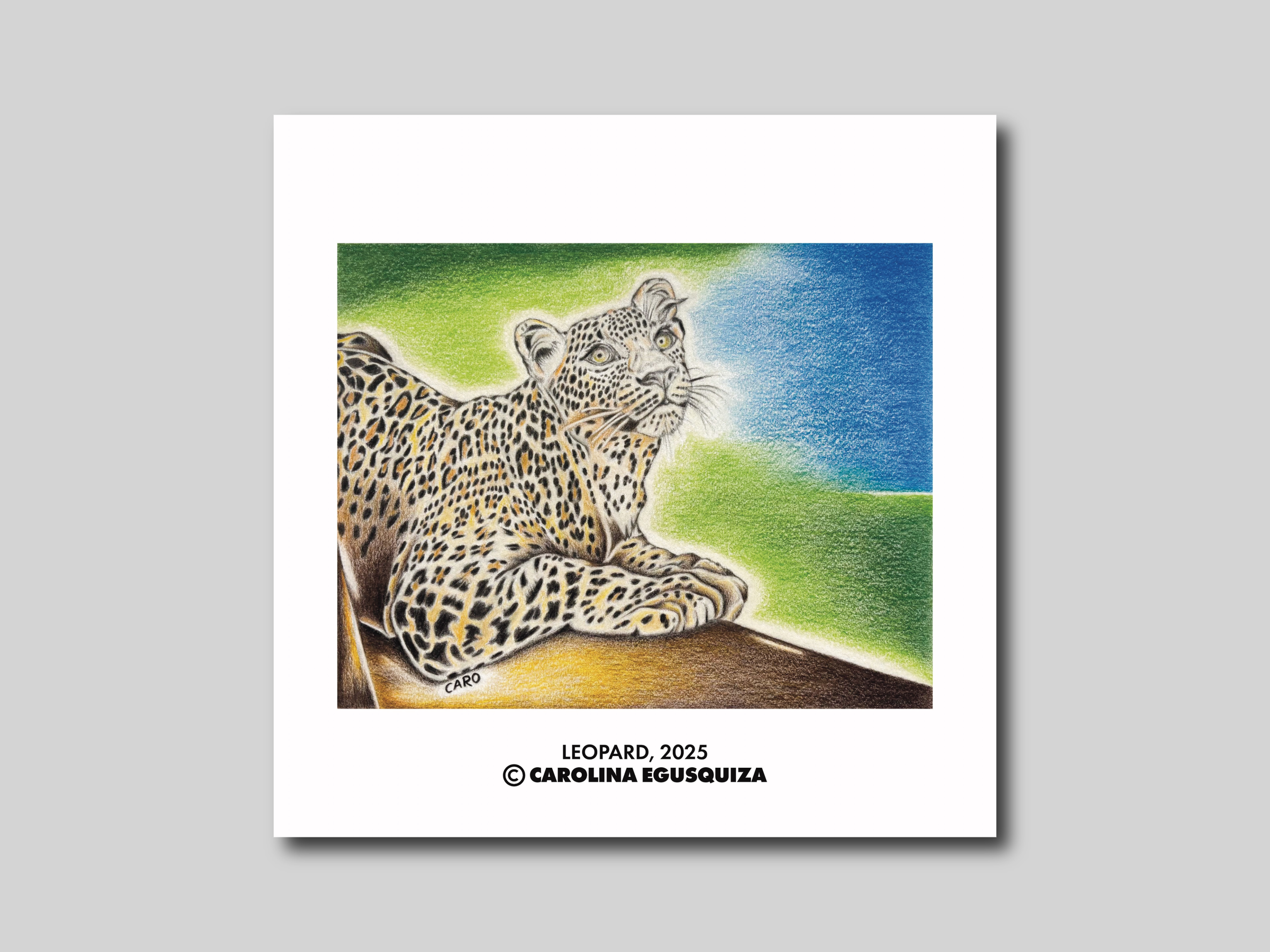Leopard, Digital Square Print Display, CMYK.PNG